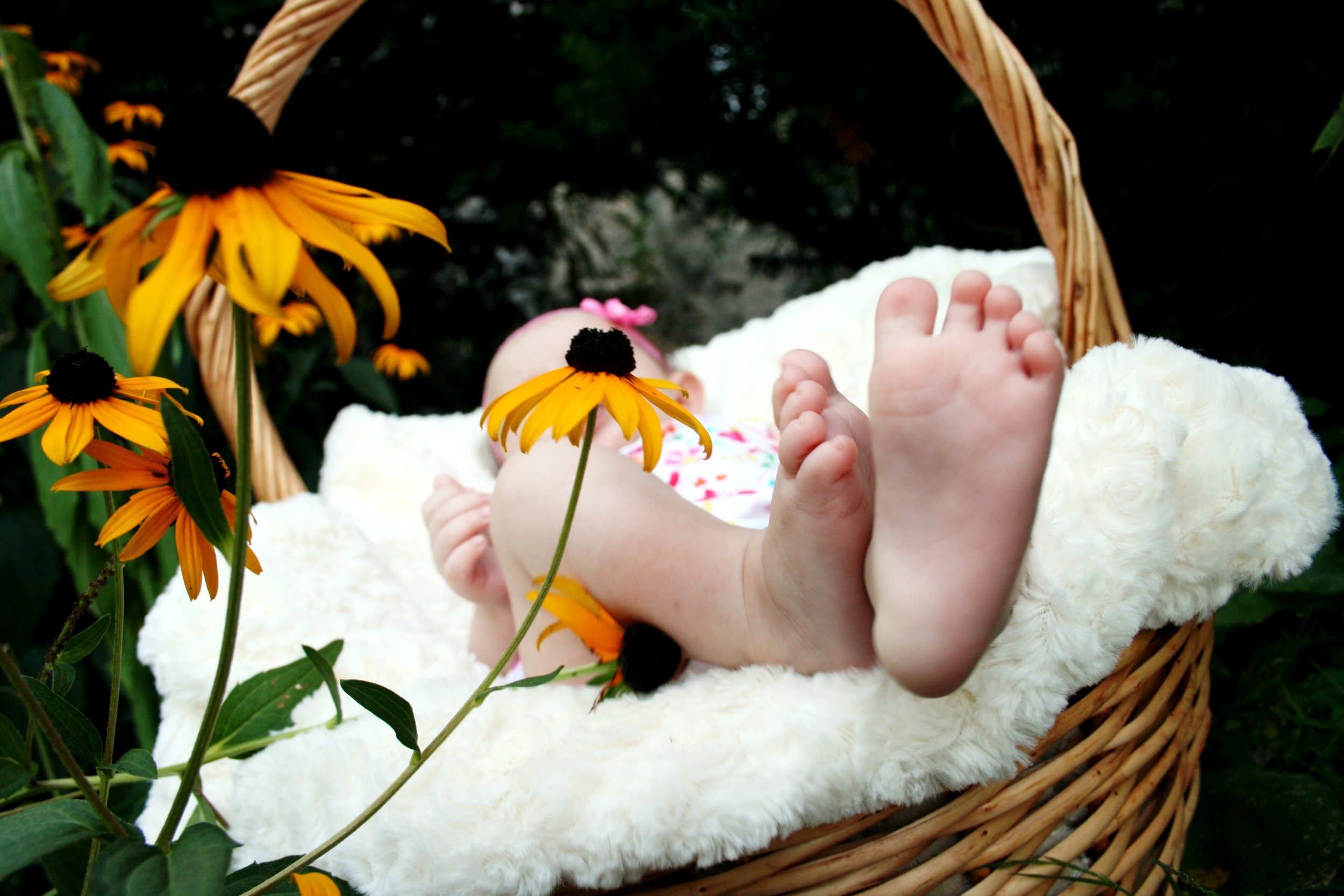 baby in basket.jpg