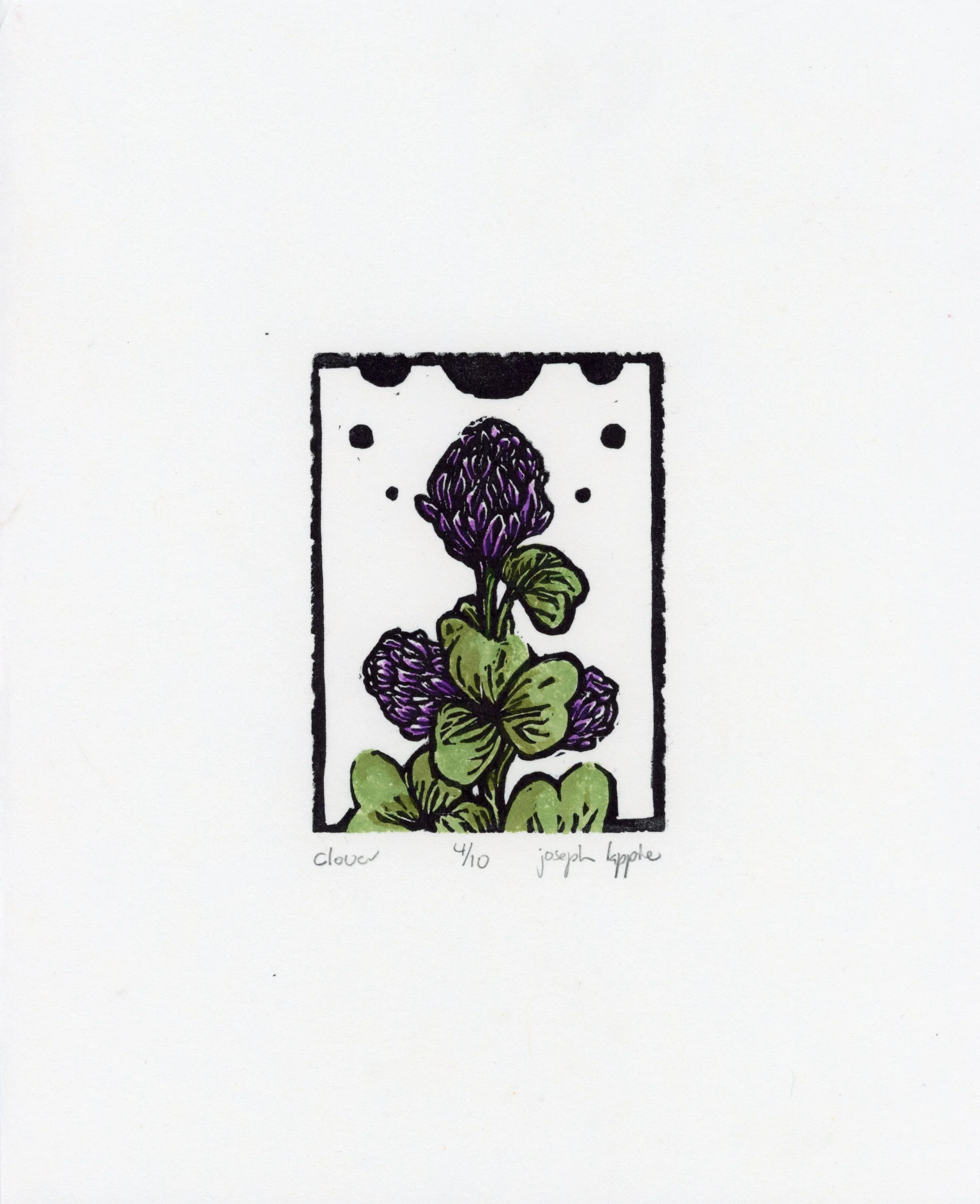 Clover.jpg