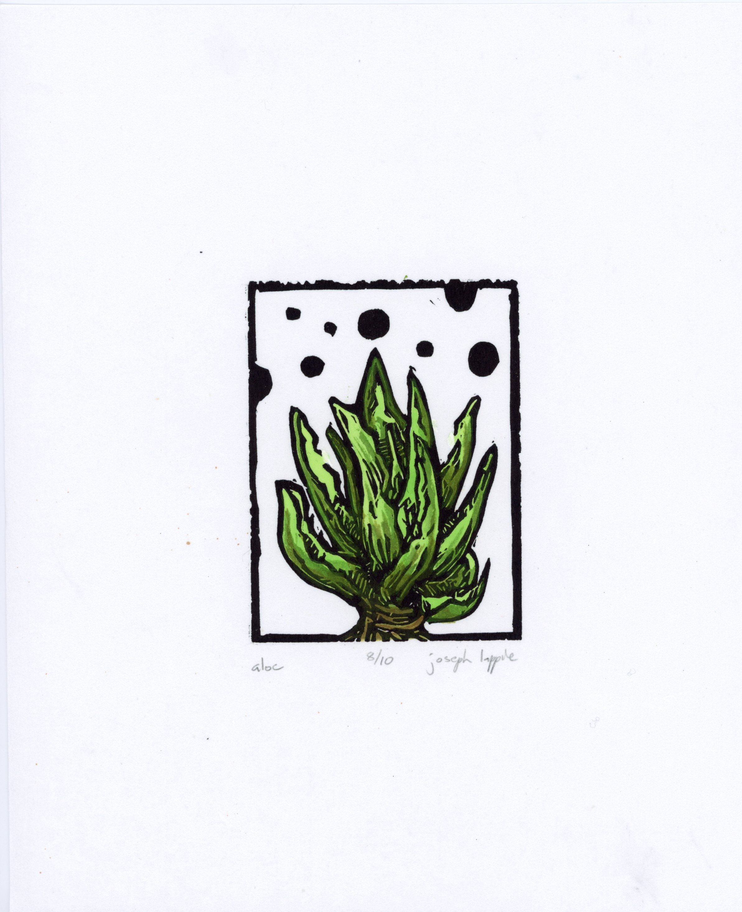 Aloe: 1-color relief print with watercolor on Mulberry Paper; 8"x10"; $70.00
