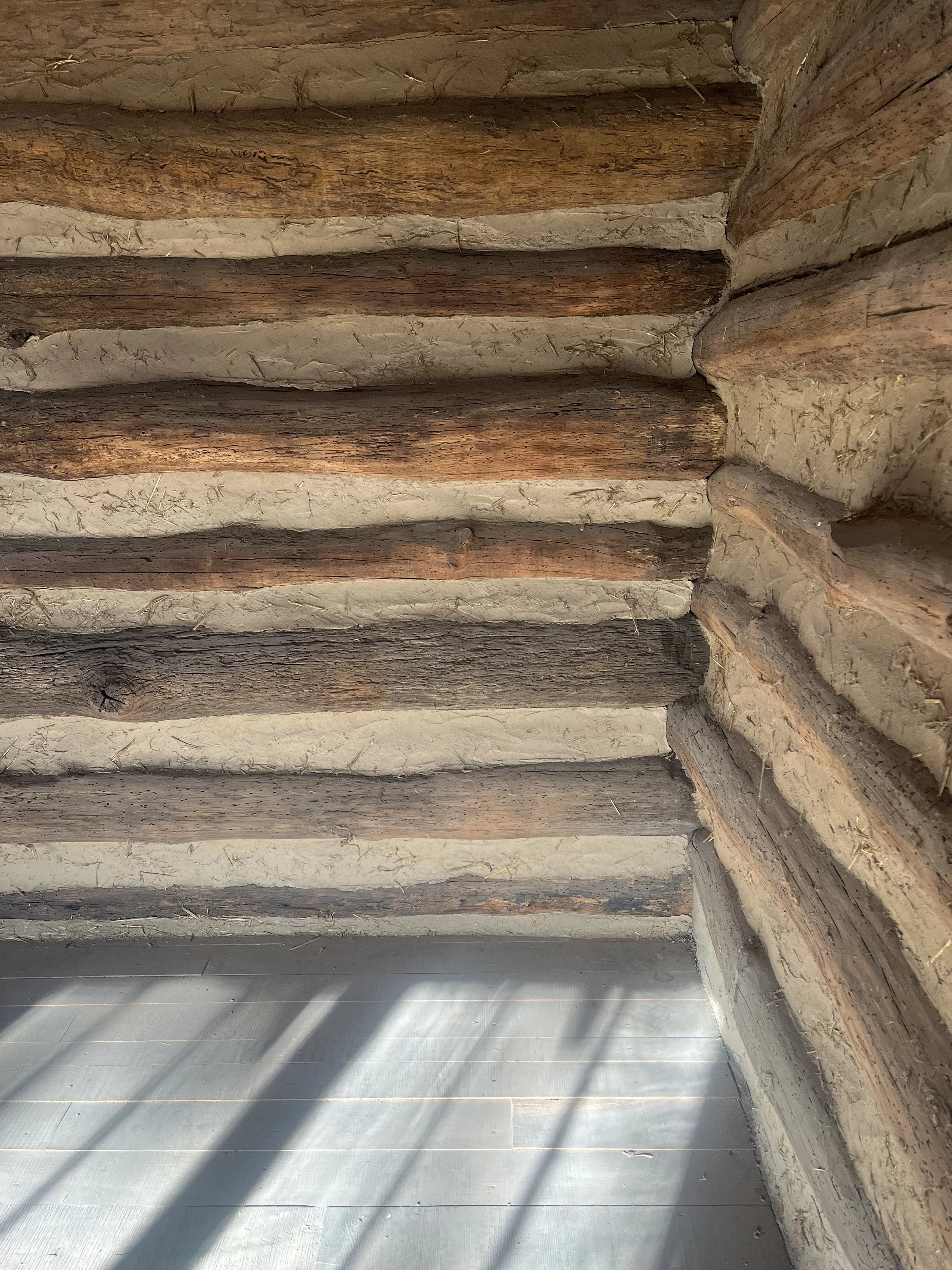 2025-11-03 15.00.47.jpg