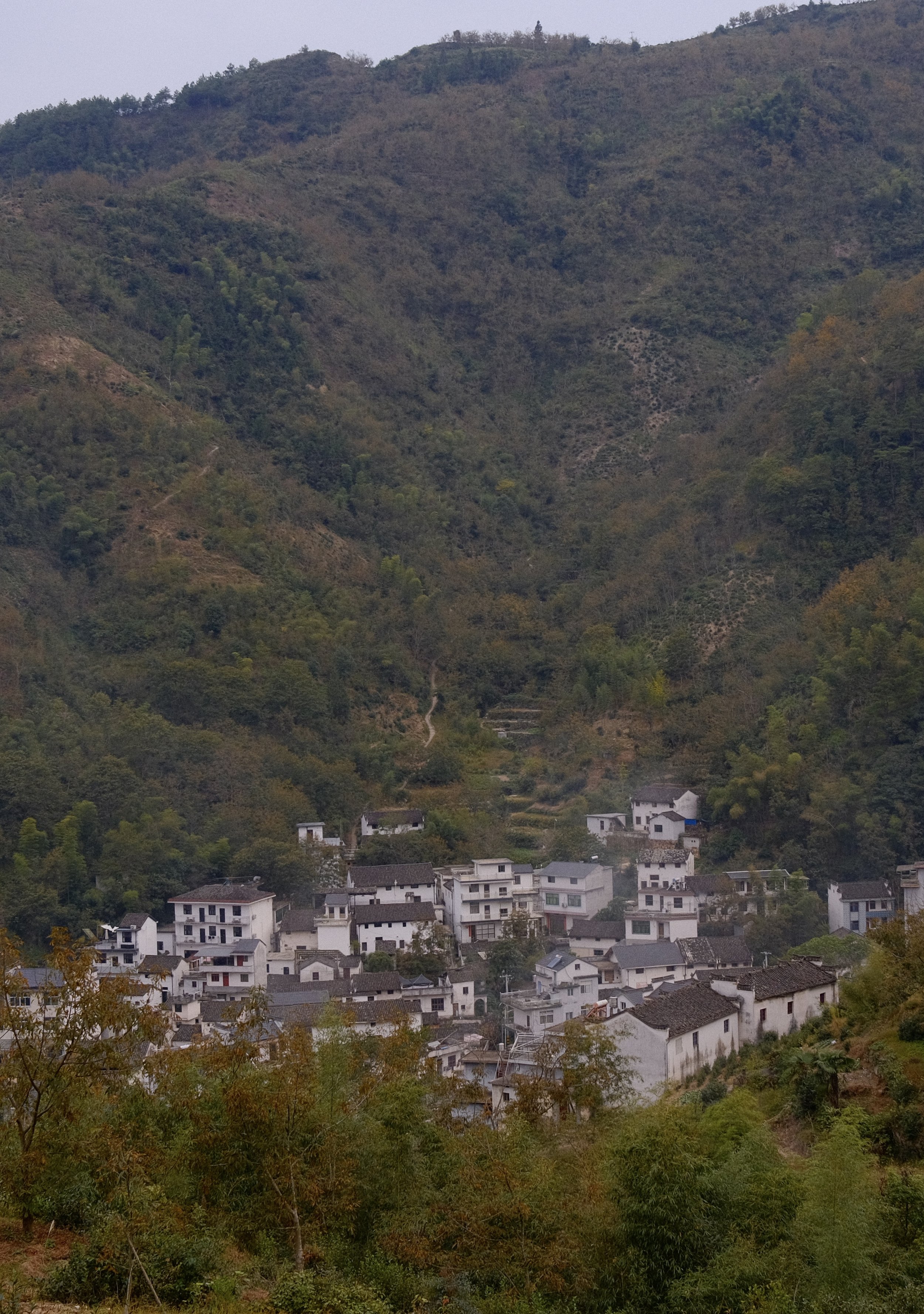 DSCF8465.jpg