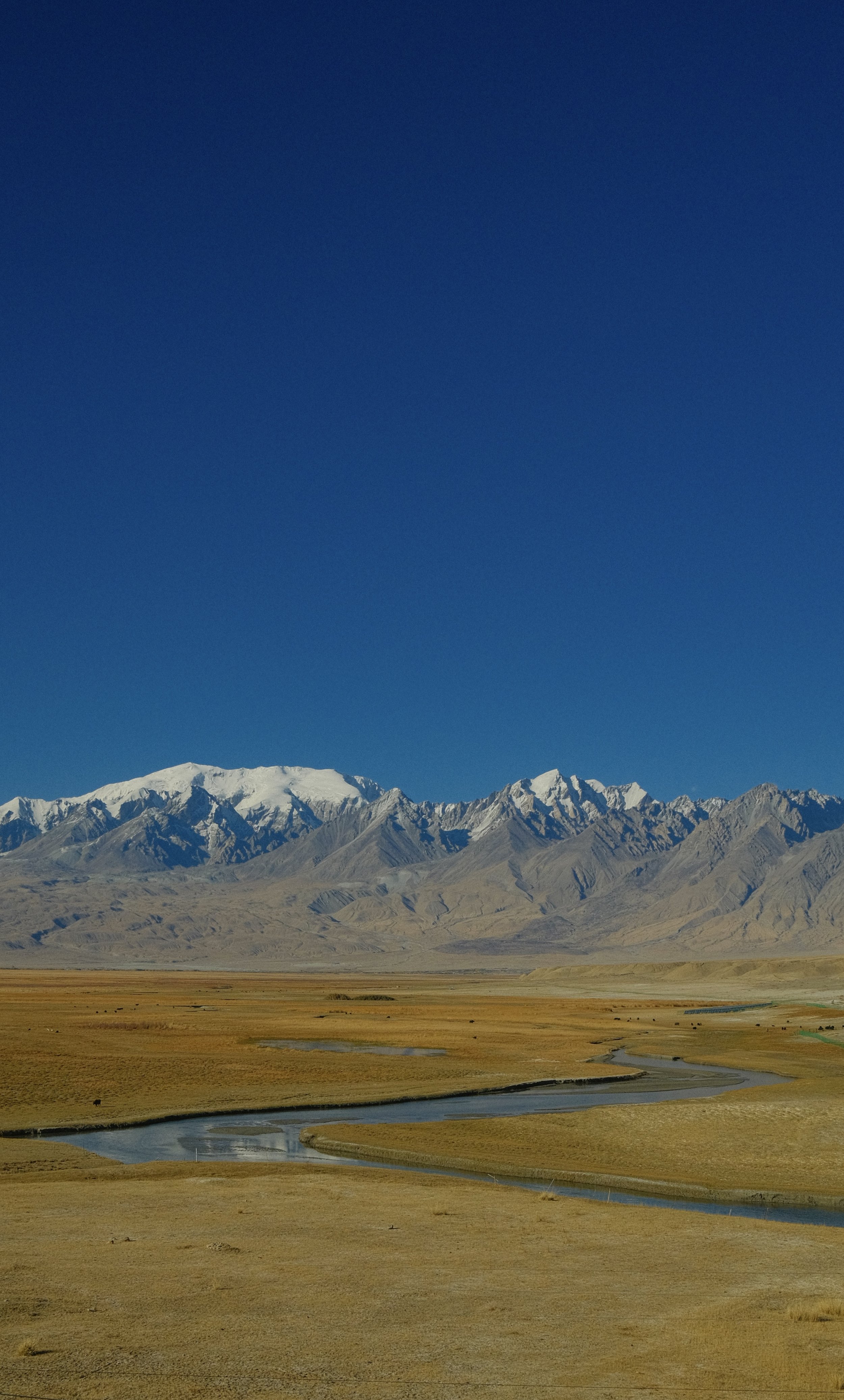 DSCF8773.jpg