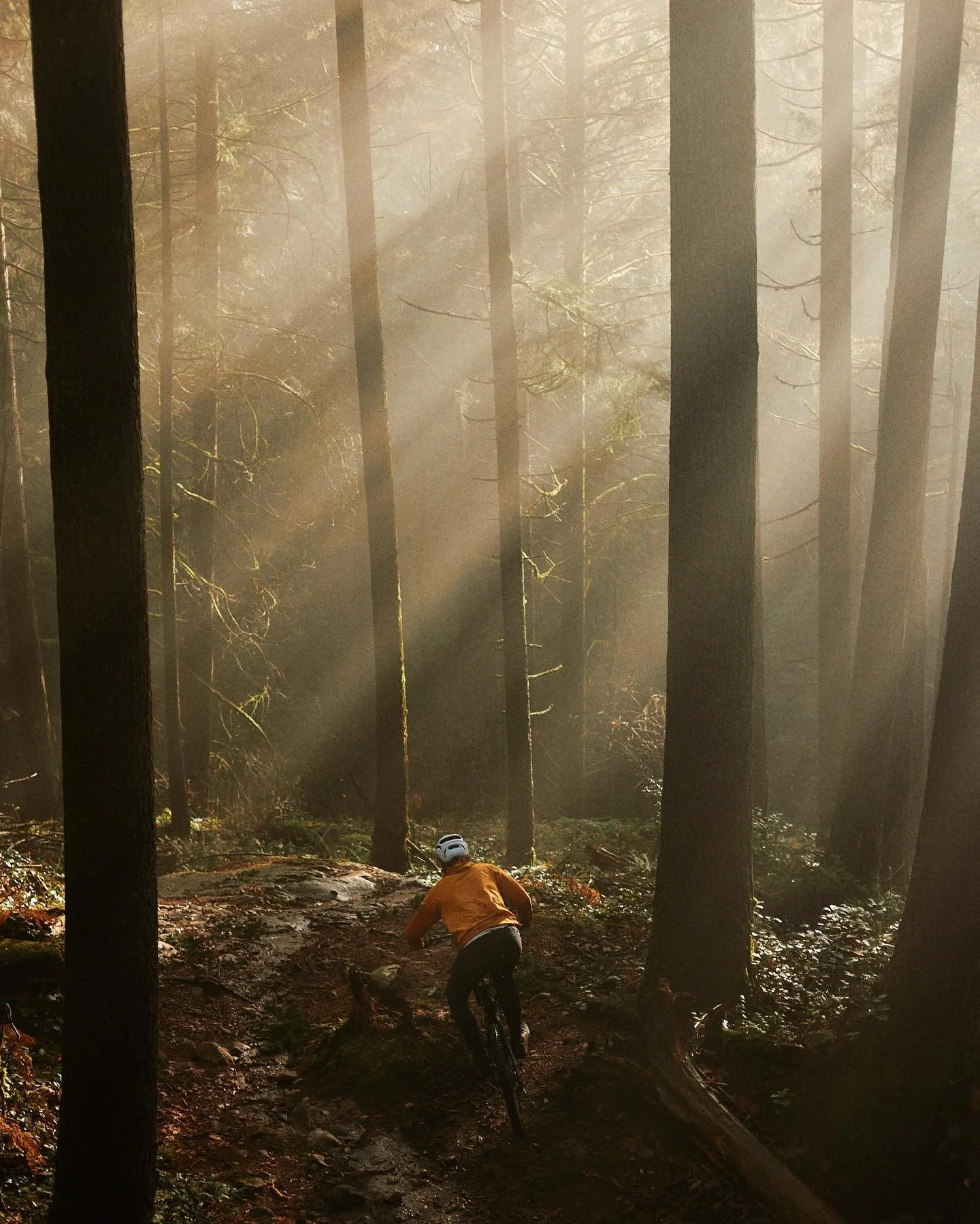 Descending up, over and down with @ryder_knoll.

We got our and into some of the classic Seymour tech on this one and the light was fleeting, but came in the way you pray for every time you go out and take photos. 

And of course it&rsquo;s always fu
