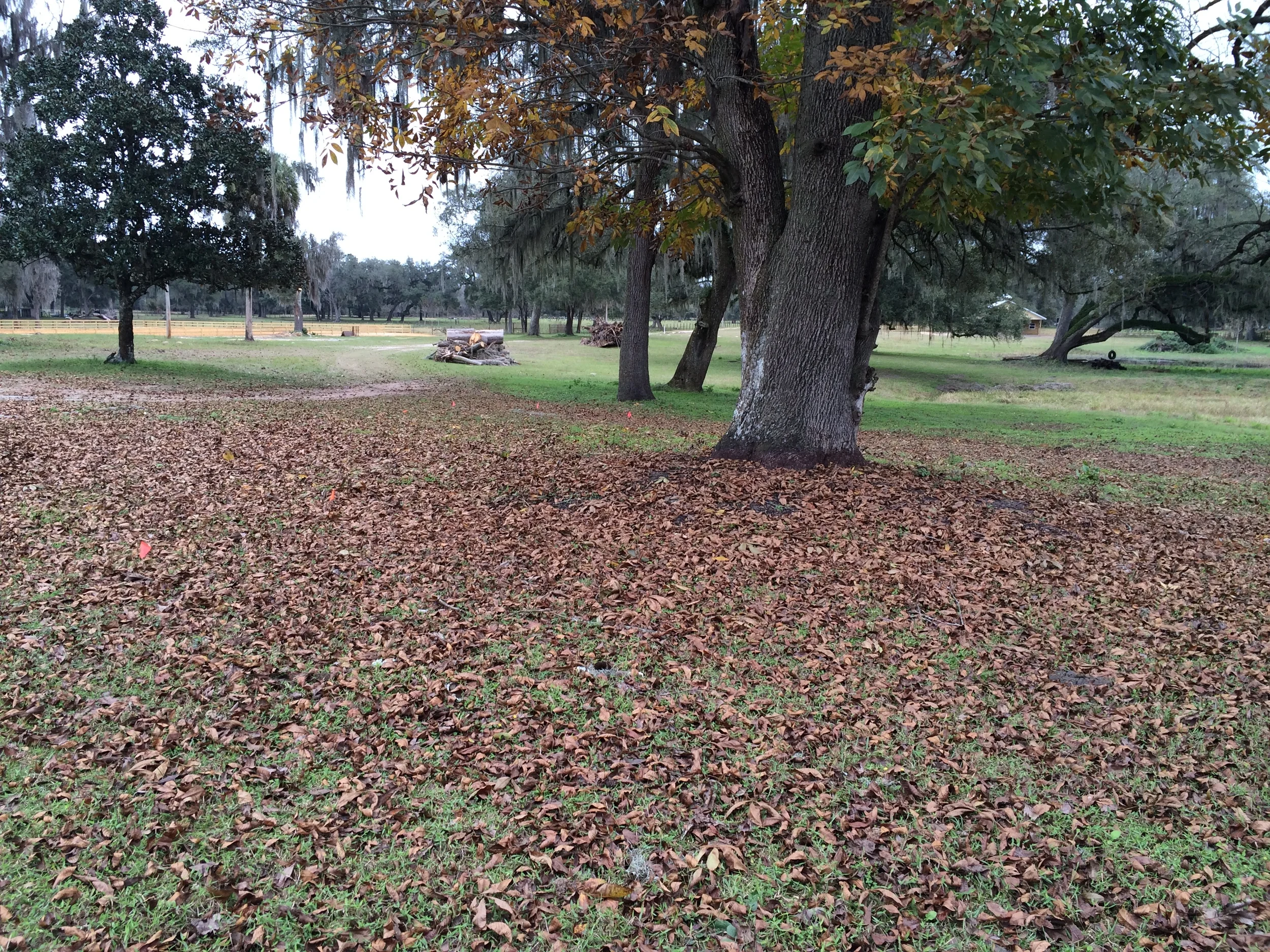 2014-12-26 13.50.16.jpg