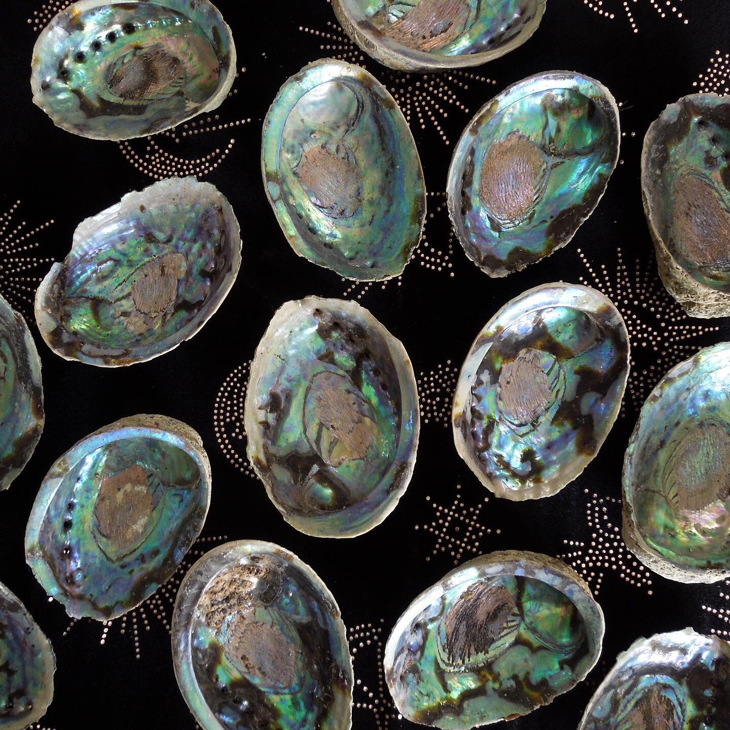 Wow wow wow!
New Abalone Shells available online &amp; in-store.

Naturally heatproof and perfect for burning sage &amp; incense.

#sage #abaloneshell #iridescent #smudging #cleansing #saging #incense #altarspace #apothecary #shipshewana