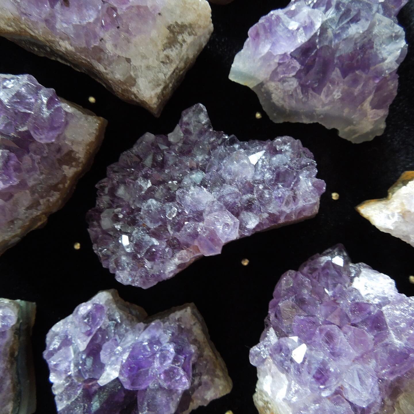 Brought some more of these beautiful Amethyst clusters down..the purples! 😍

Open today 11-4

#amethyst #amethystcluster #rockhound #gemstone #geology #metaphysicalshop #shipshewana #agate #healingcrystal