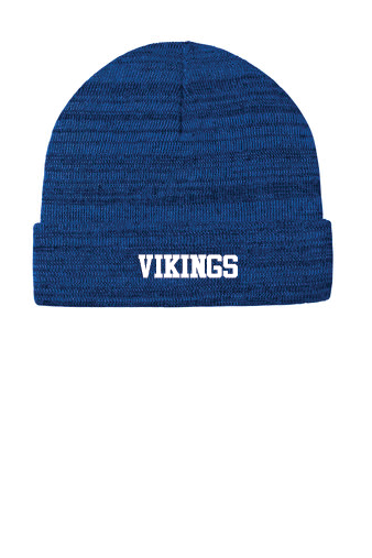 VIKING BEANIE.png