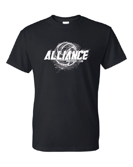 gildan t shirt.png