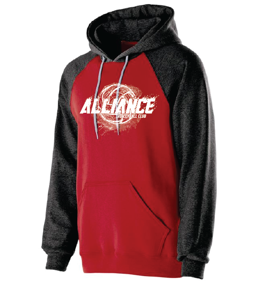 banner hoodie.png