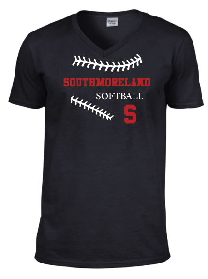 black v neckt shirt.png