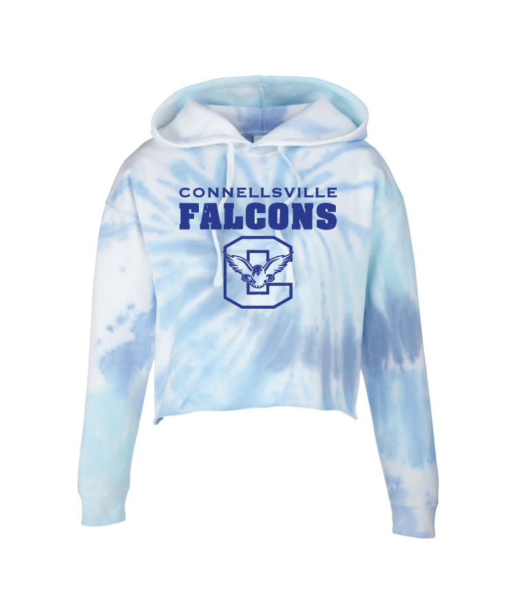 Screen Shot 2020-11-07 at 12.12.13 PM.png