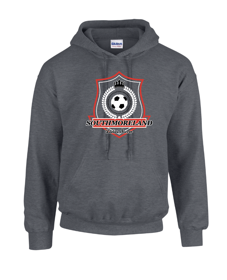 Screen Shot 2021-07-02 at 12.30.07 PM.png