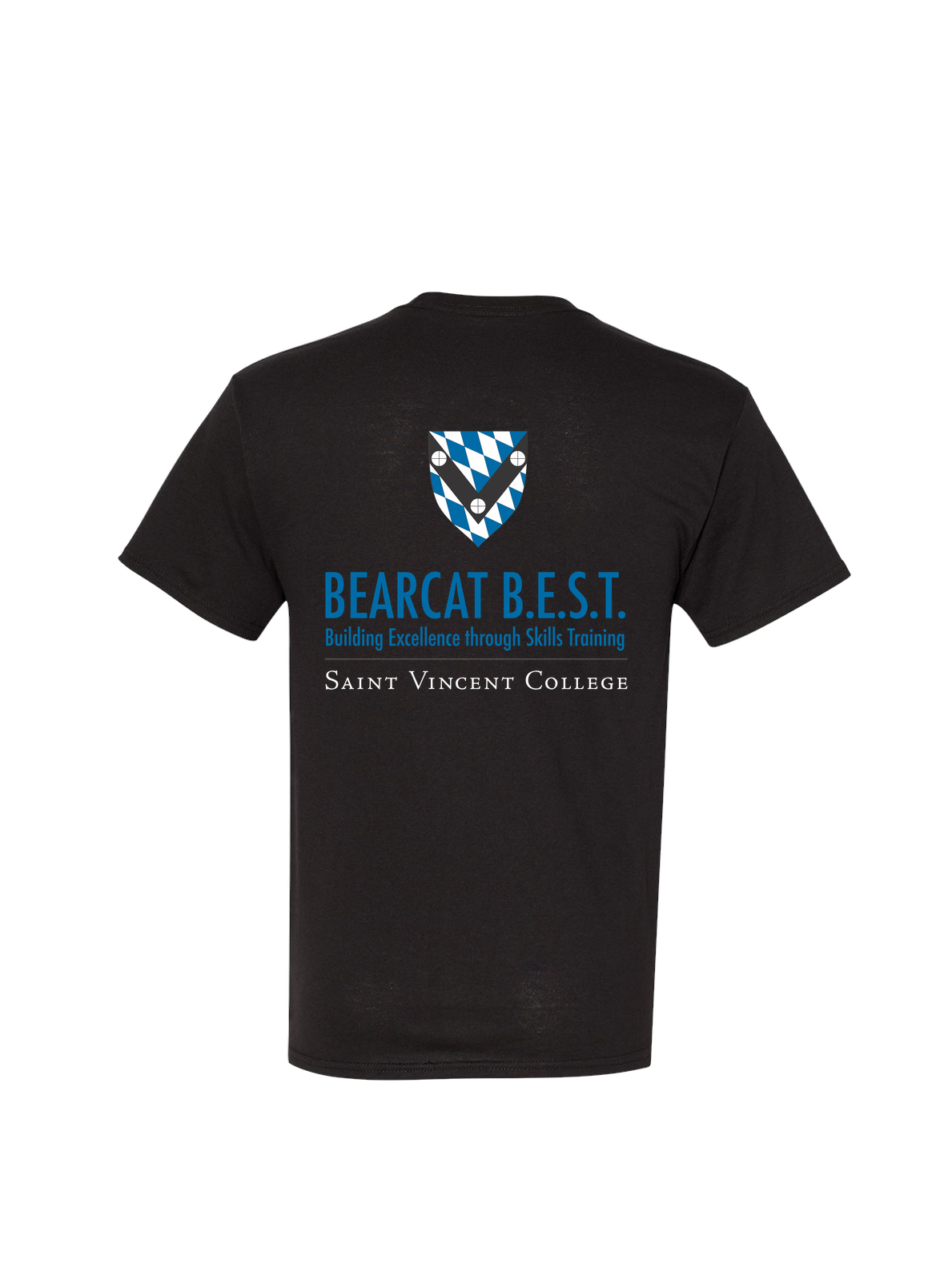 HANES-5170_Black_back.png