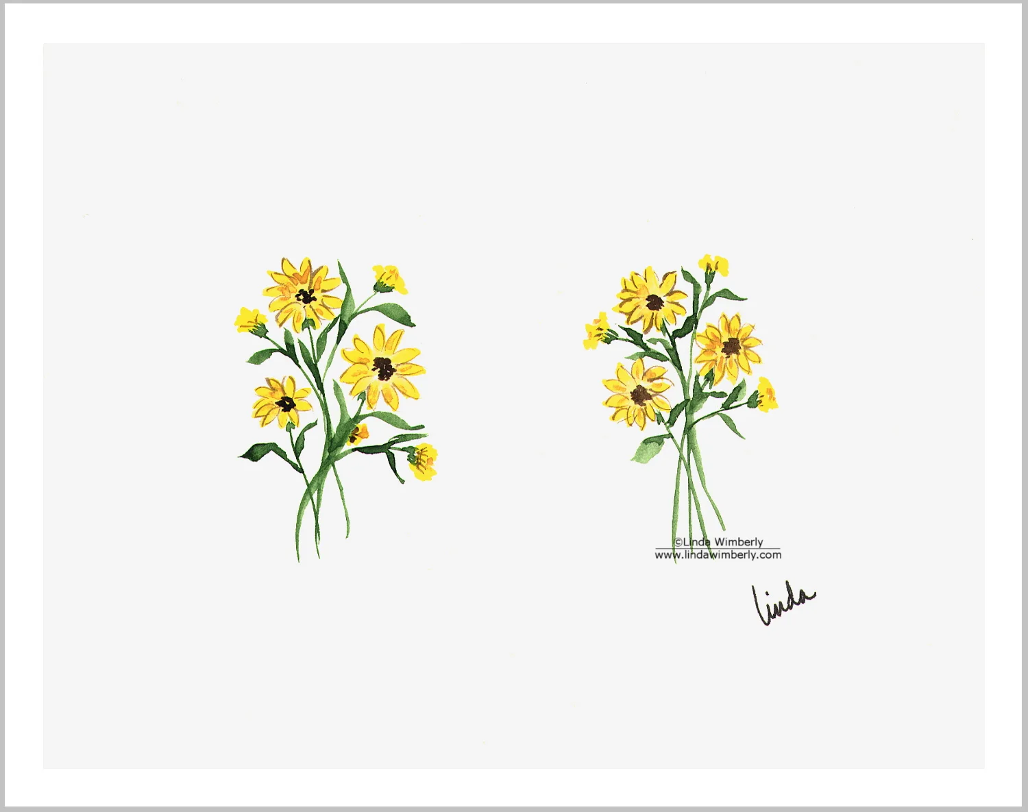 Daisies2.JPG