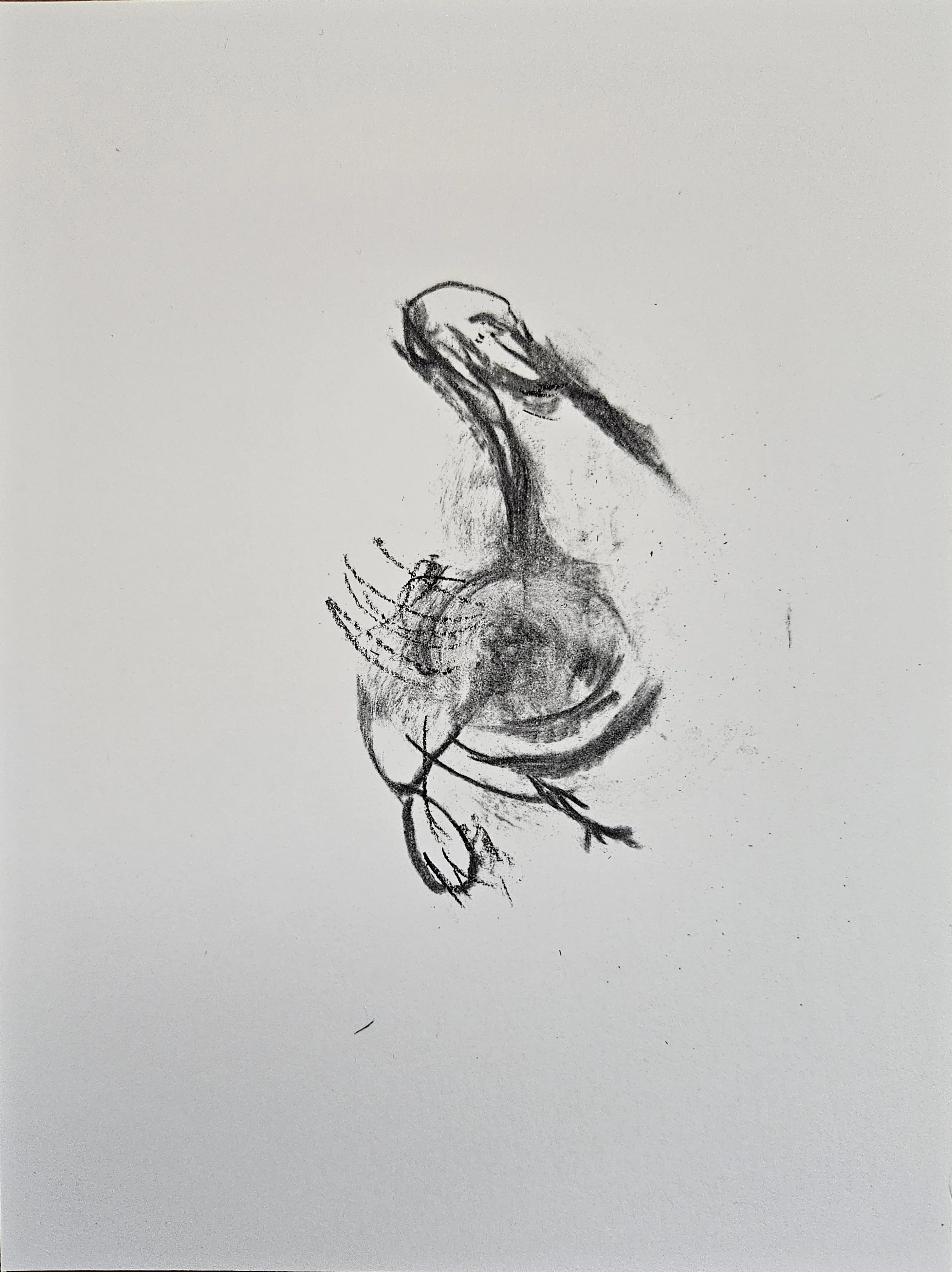 Pending Delivery - 8 x 6, charcoal on paper, 2025