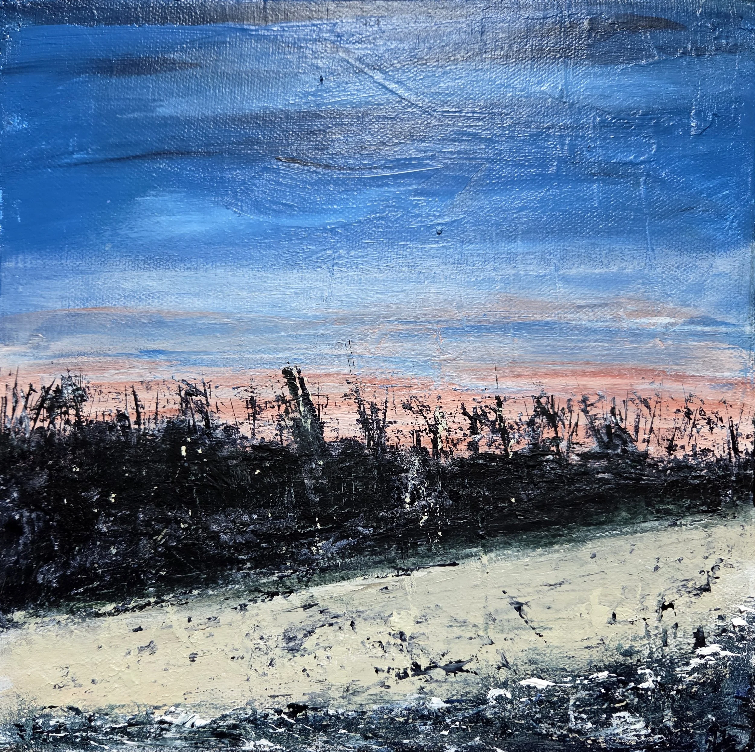 Sunset on Tybee Island - 10 x 10, on canvas