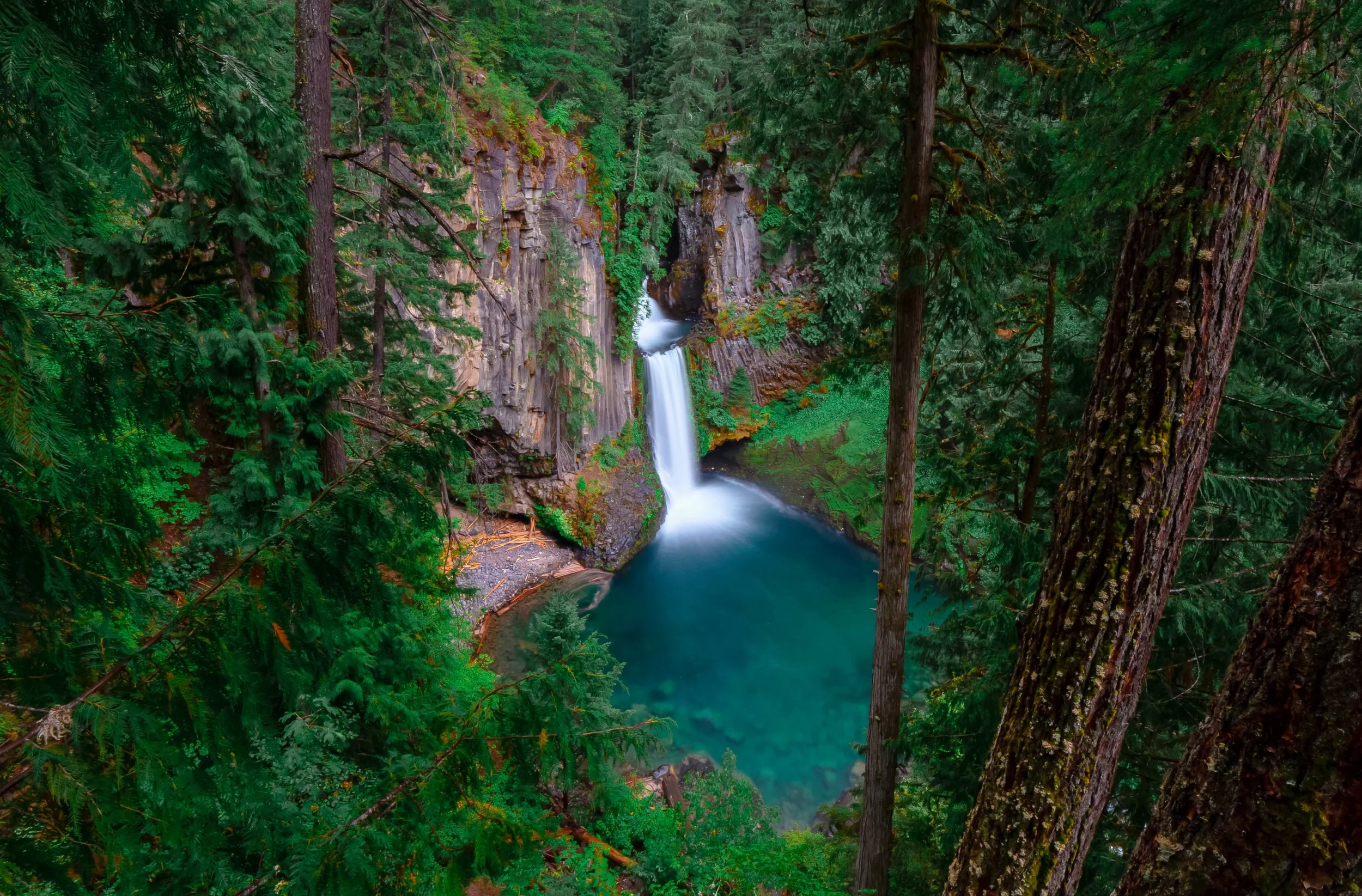 Umpqua National Forest, Oregon