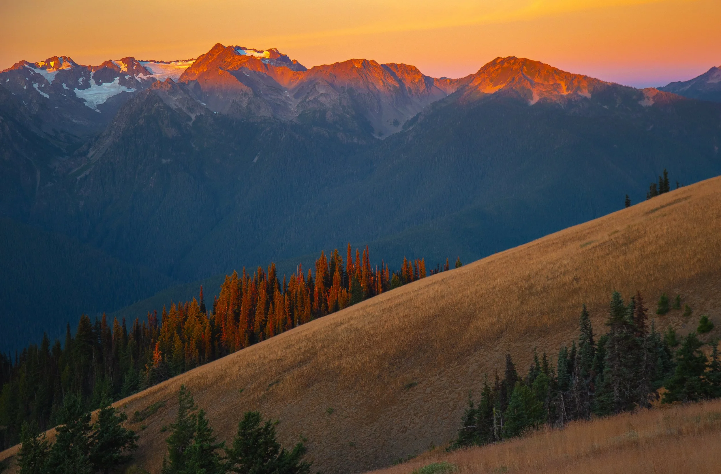 Olympic National Park, Washington