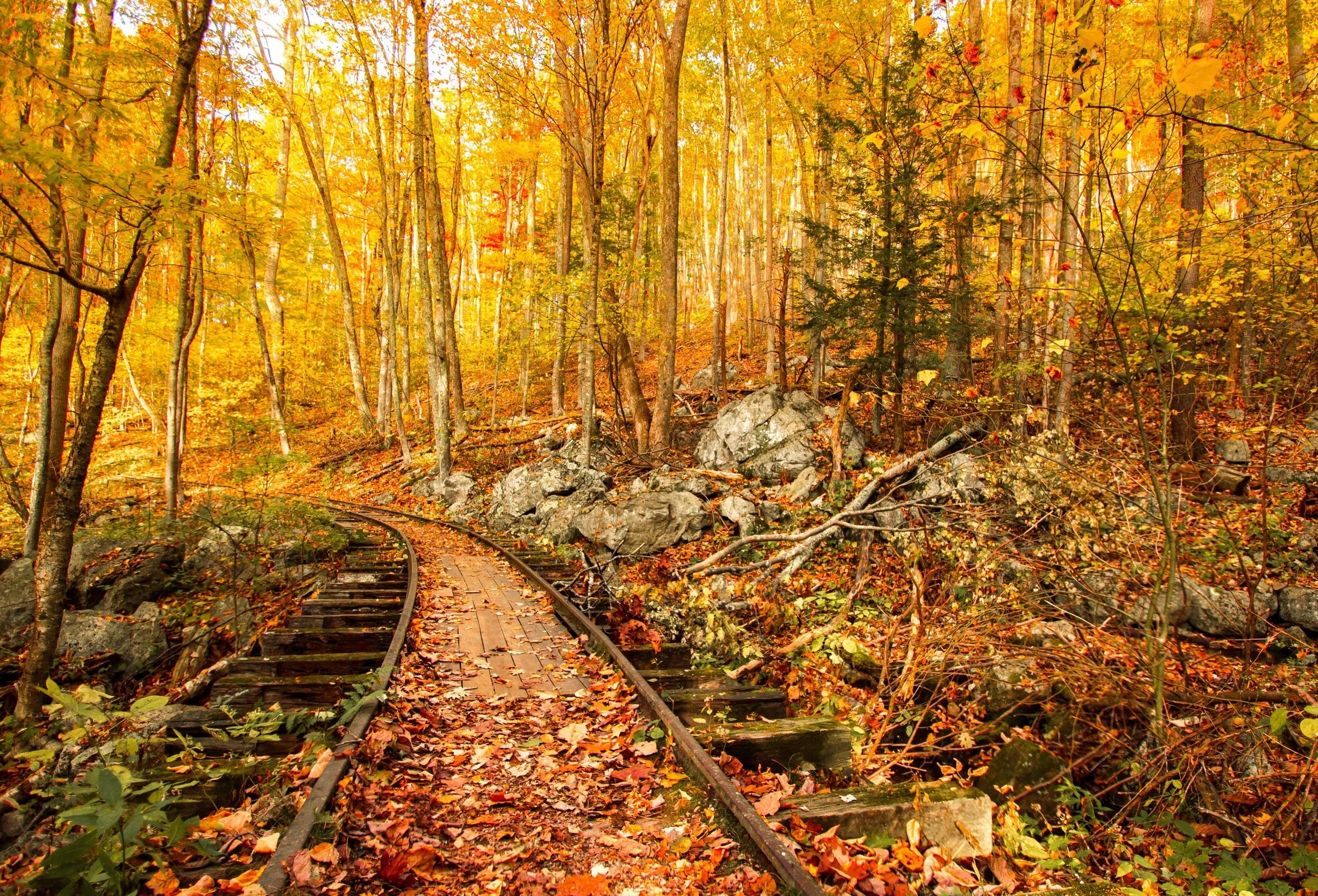 Shenandoah Mountains, Virginia