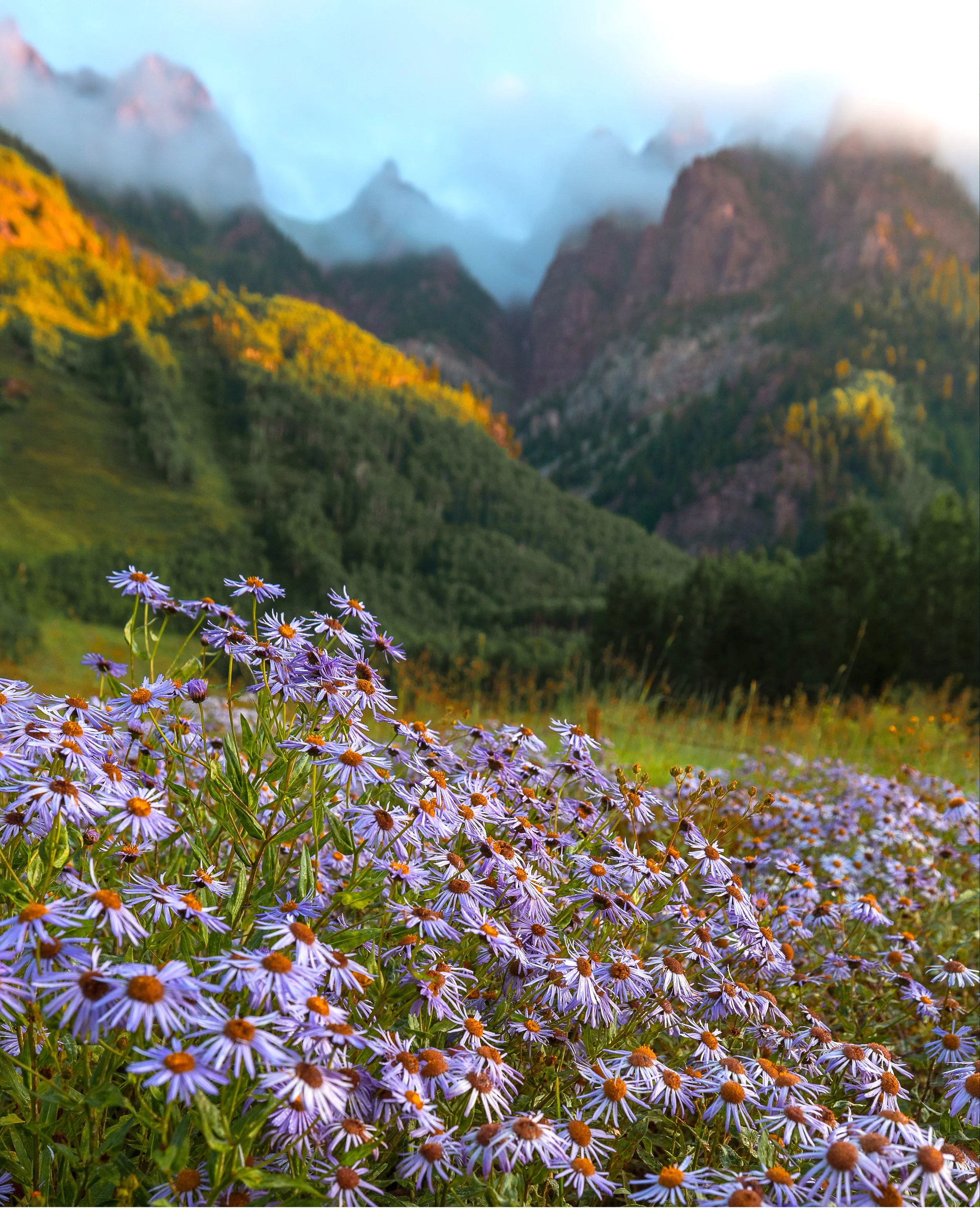 Aspen, Colorado