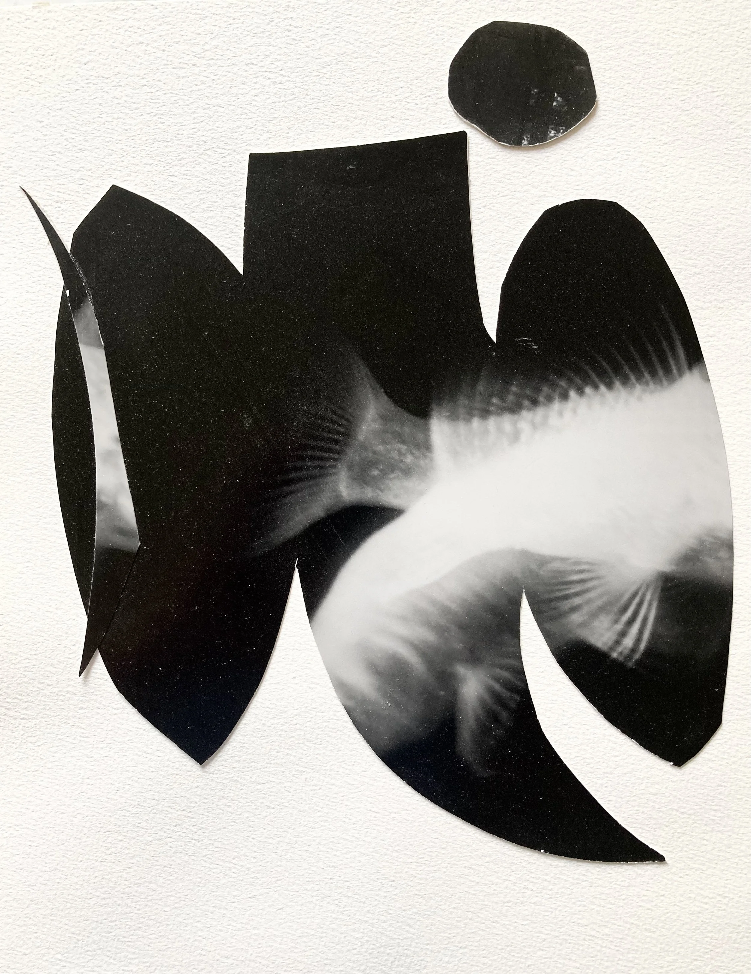 angelus (after Motherwell)