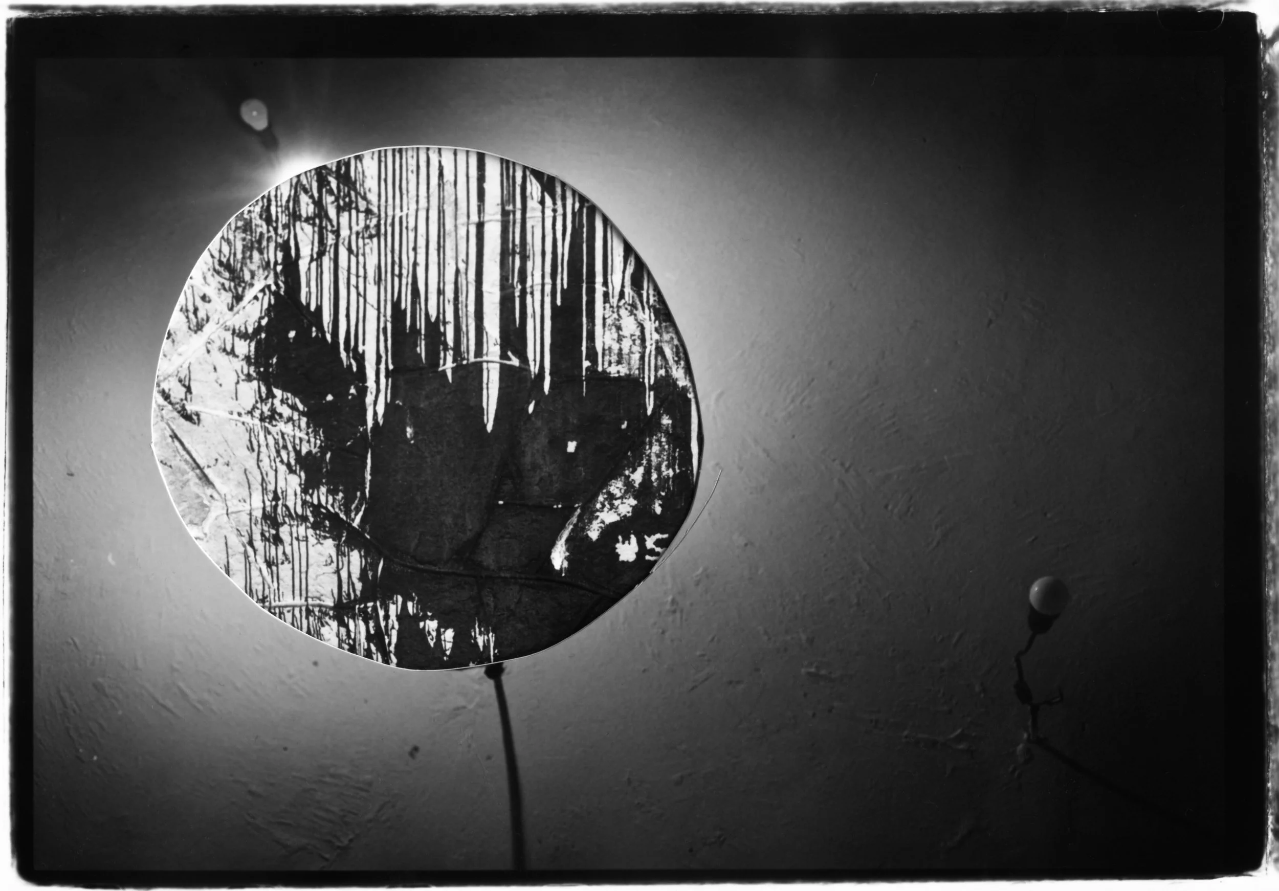 bring me the rhinoceros 