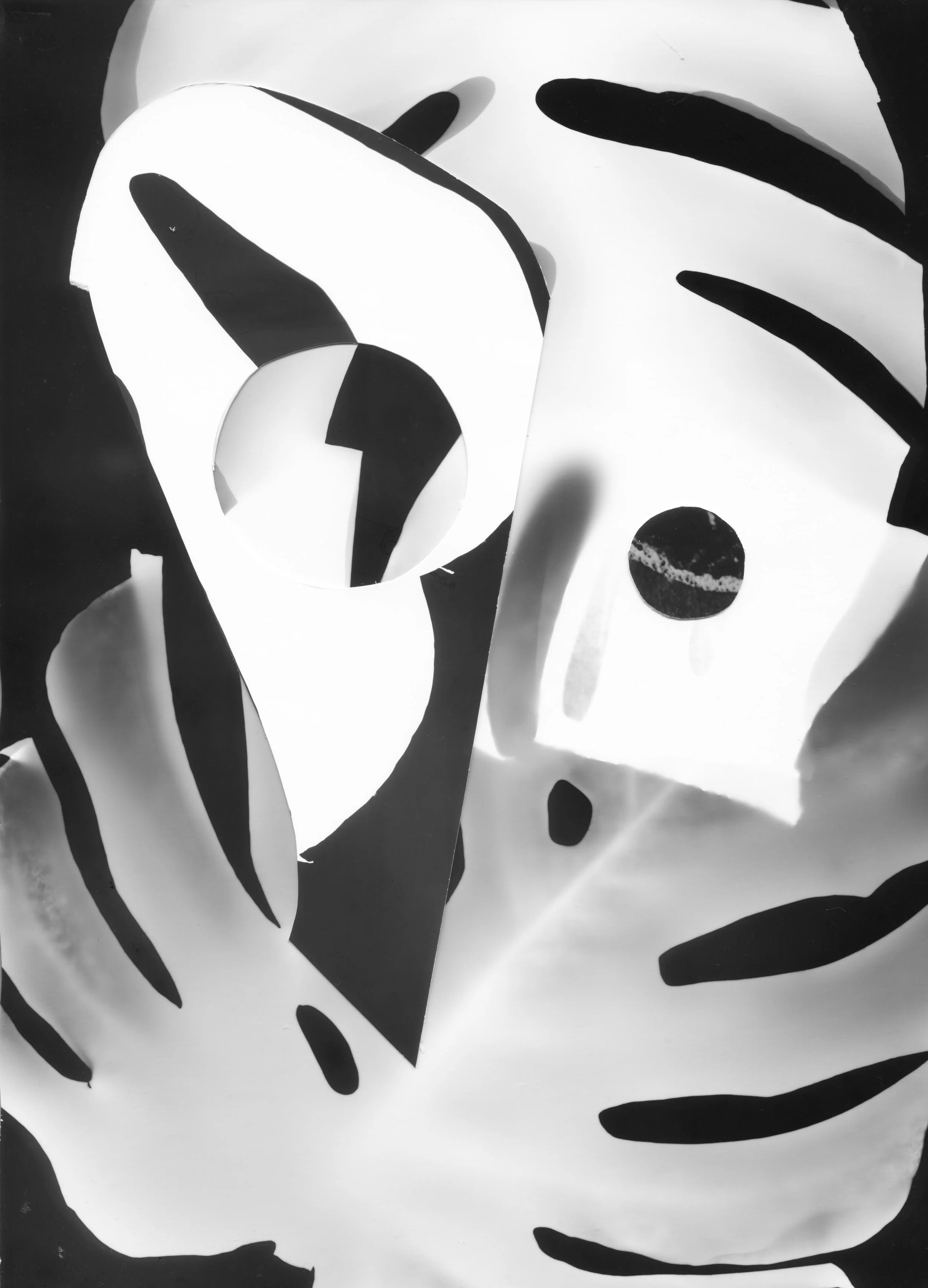 visage