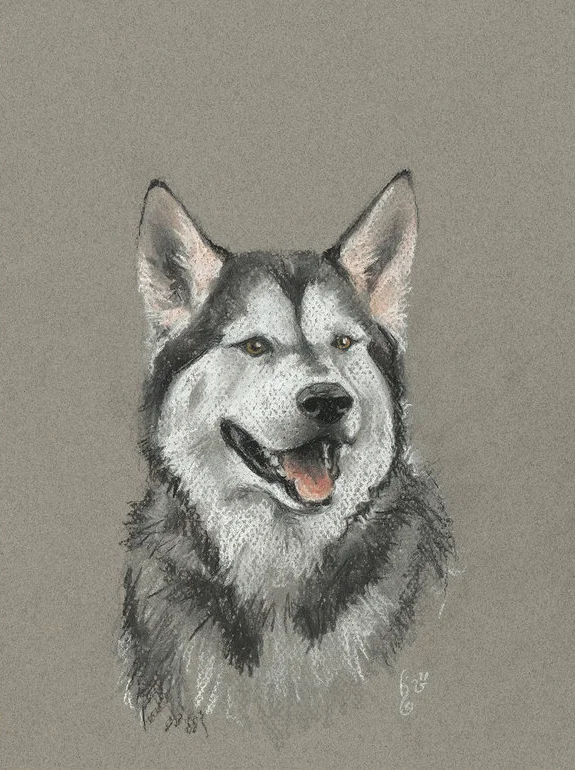 co1604rocky.jpg