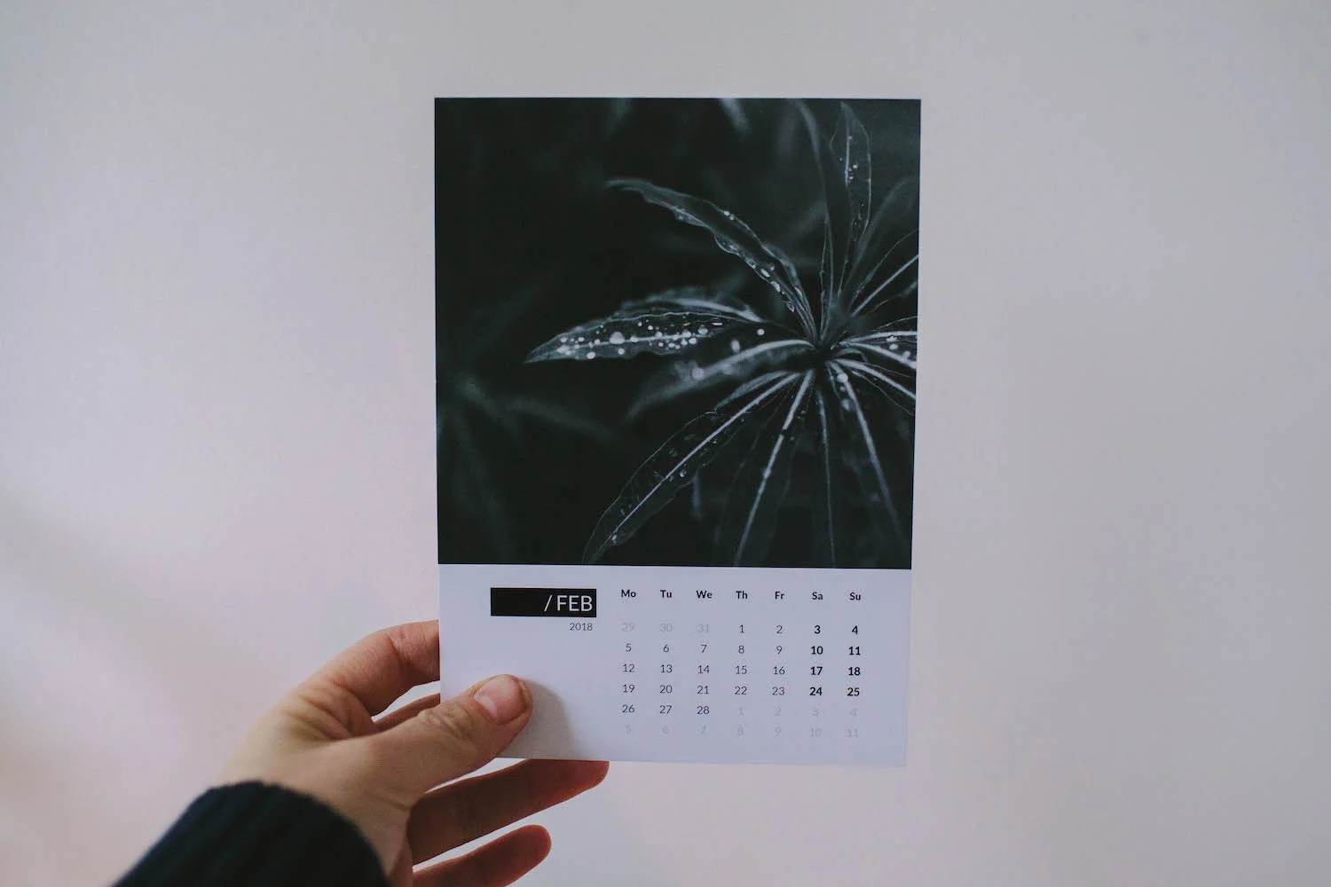 botanical-photo-calendar-inkifi-4.jpeg