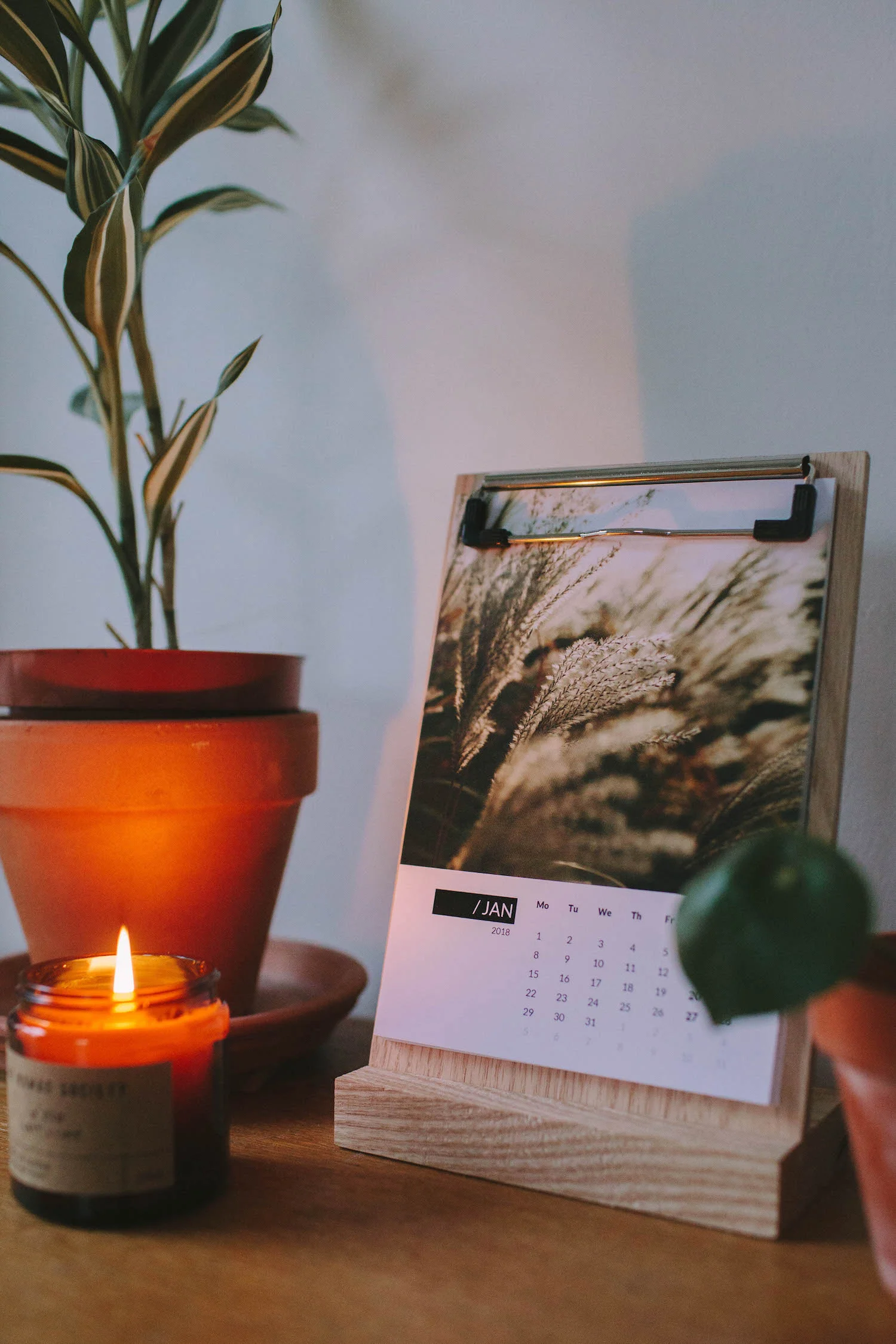 botanical-photo-calendar-inkifi-6.jpeg