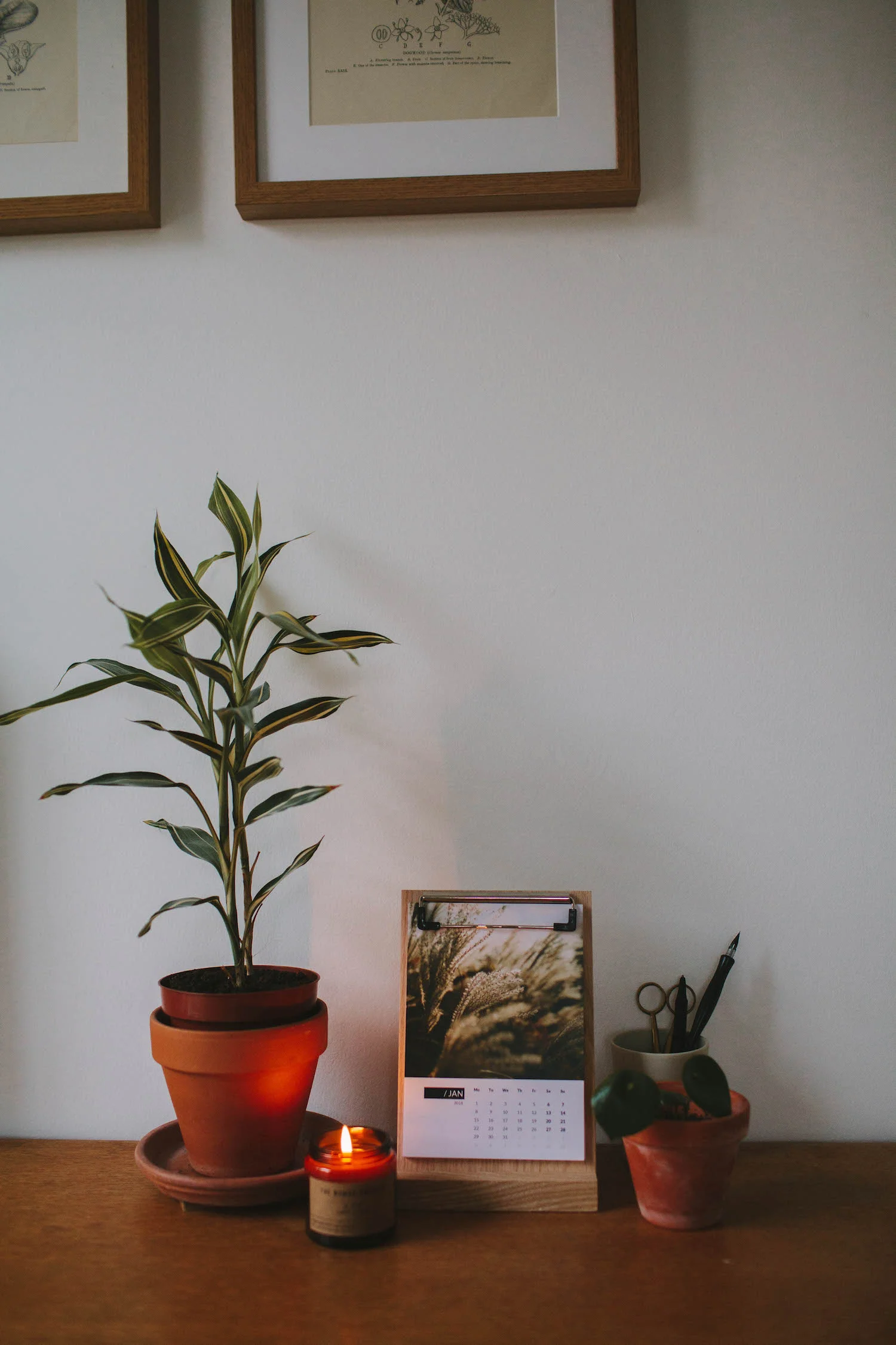 botanical-photo-calendar-inkifi-4.jpeg