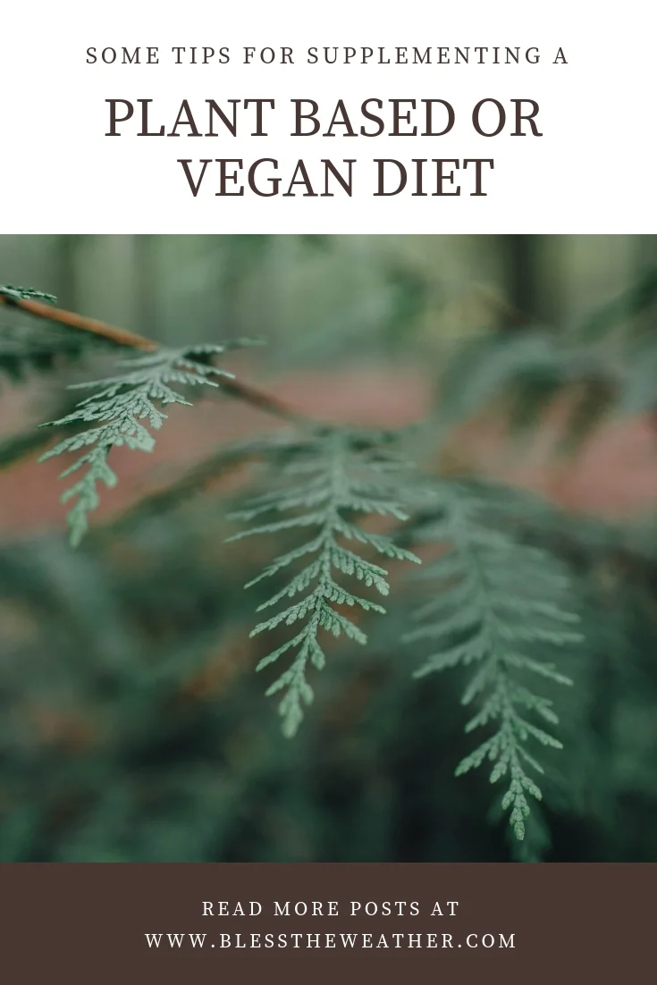 tips for supplementing a vegan plant based diet.jpg