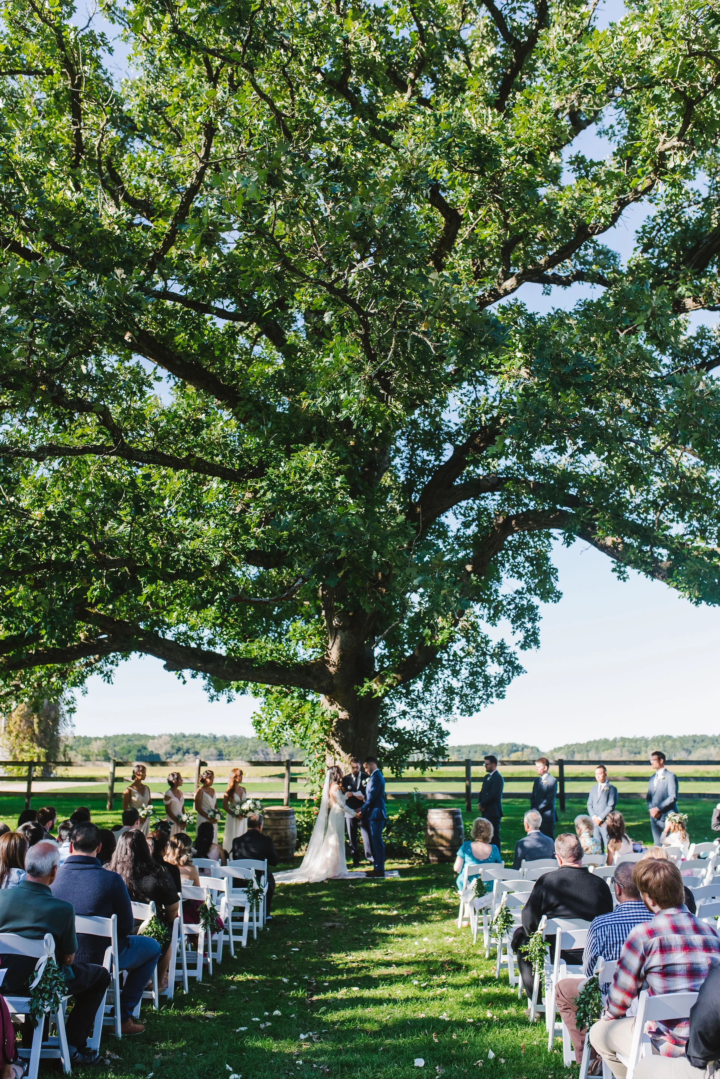 Ceremony Under Tree.JPG