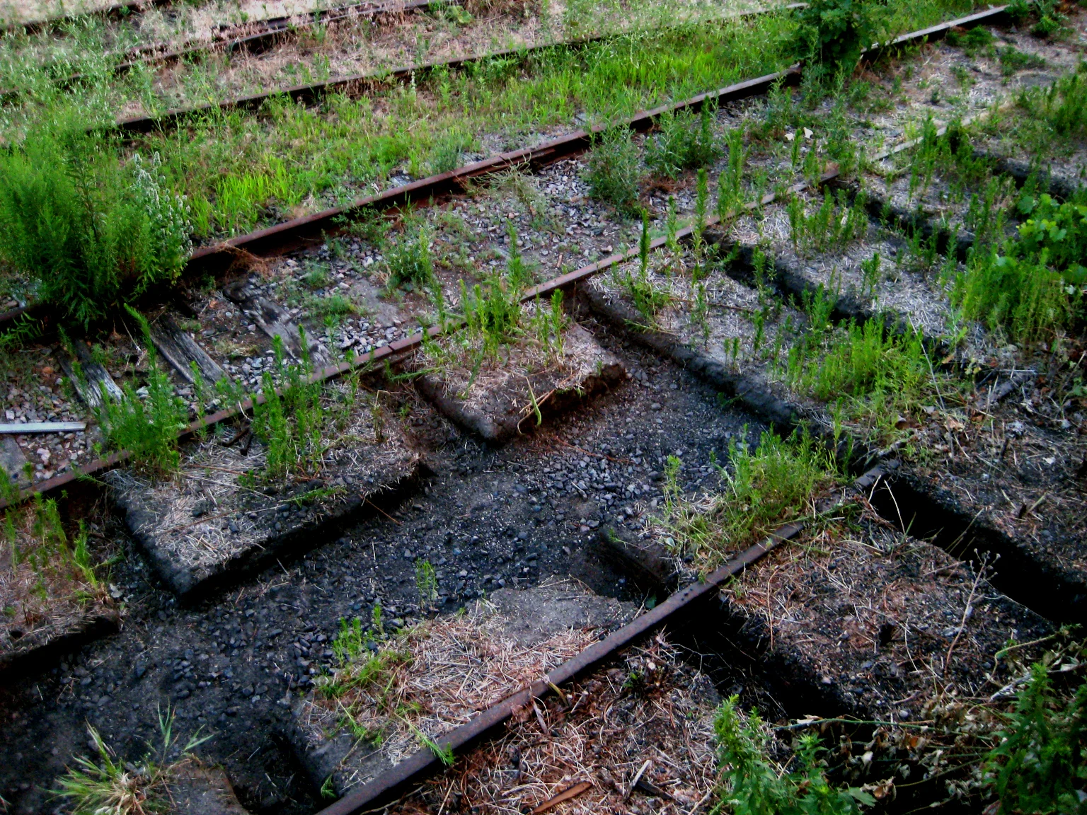 Behind The Soap Factory lay overgrown tracks from which the soil was removed in a geometrically sympathetic pattern and brought into the exhibition space. Also served as an homage of sorts to the Minneapolis band Hüsker Dü.
