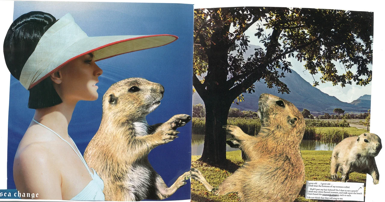 Prairie Dogs.jpg