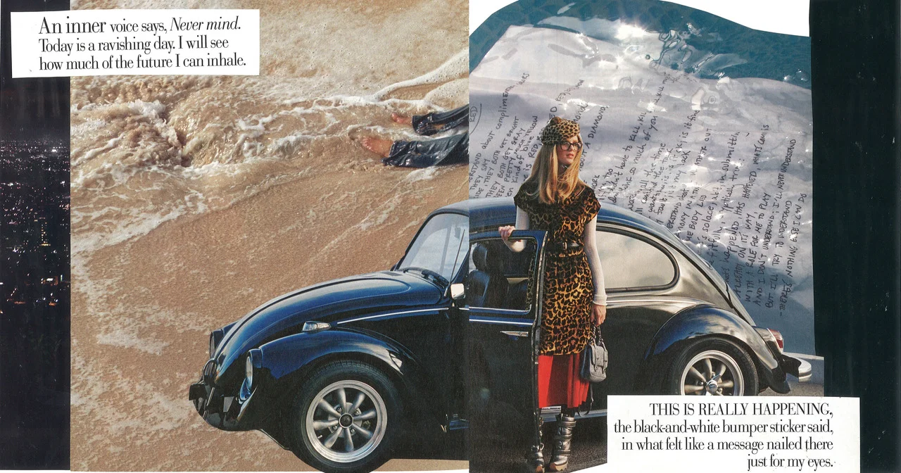 water VW collage.jpg