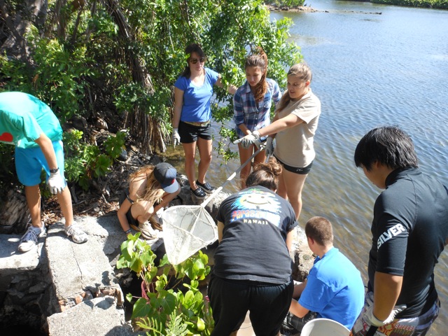 Freshman Year Eradicating Aquarium Fish.jpg