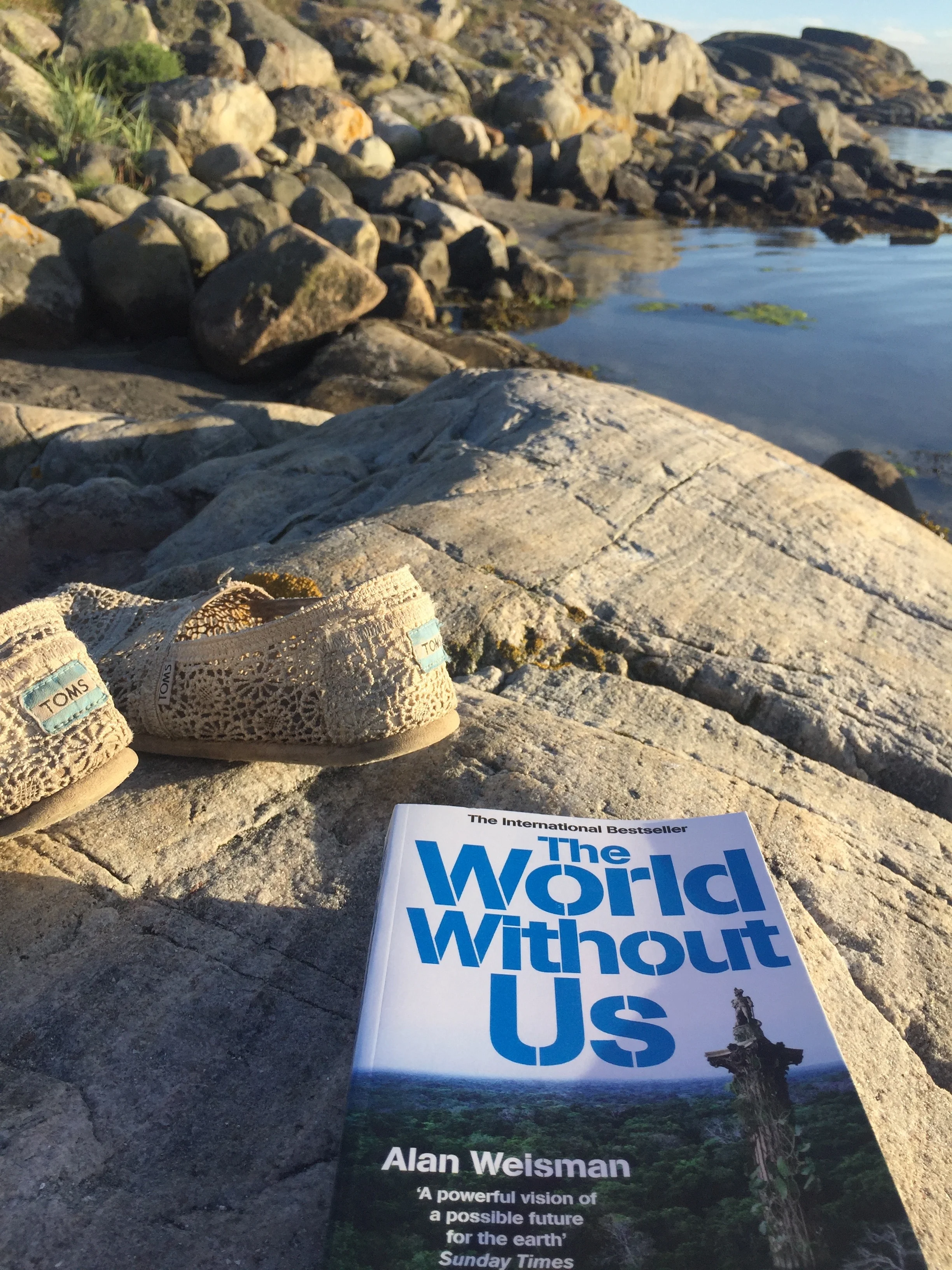 Reviewing climate literature - The world without us