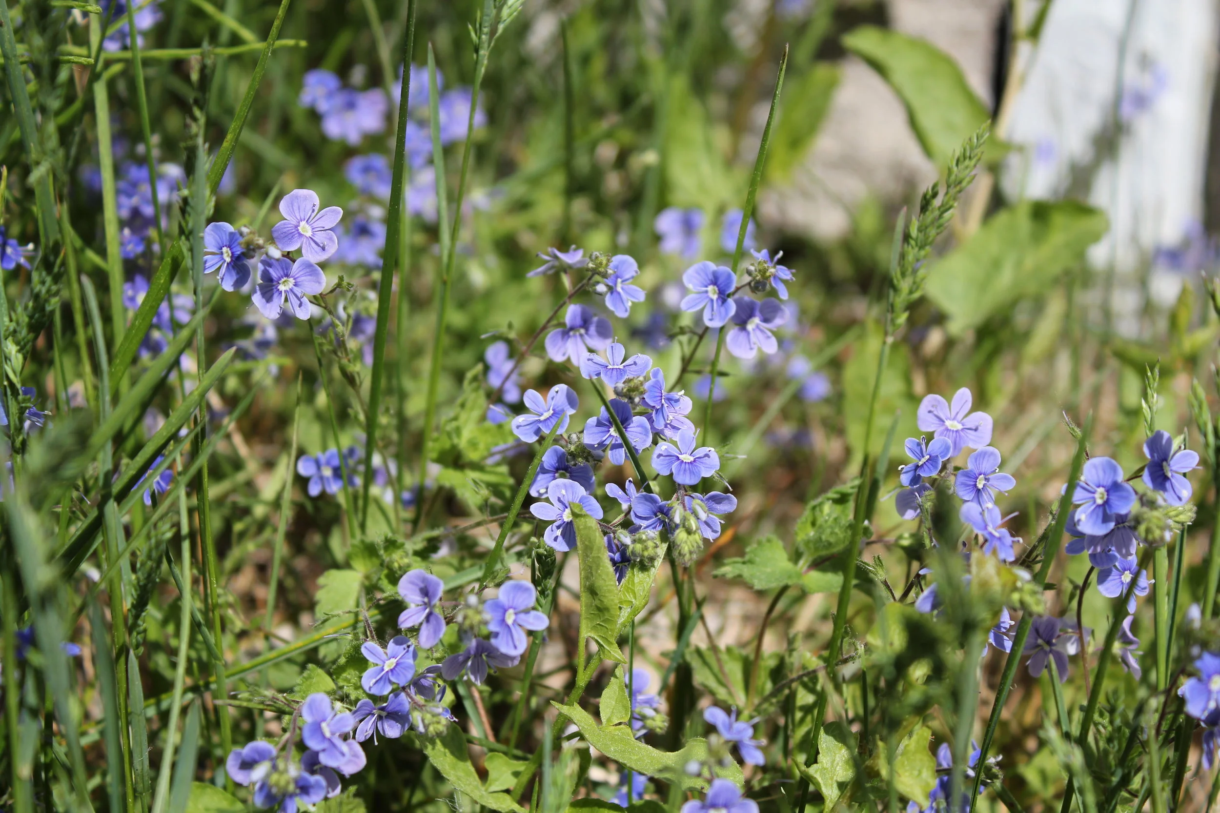 We are almost there..!