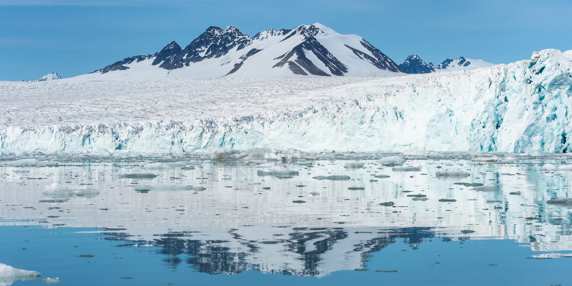 o-ARCTIC-facebook.jpg
