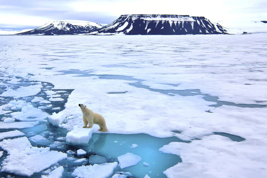 The exciting and fragile Arctic