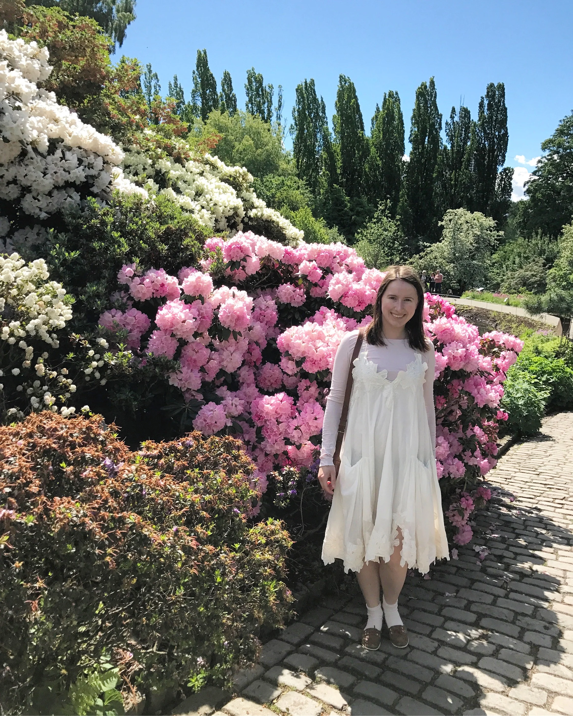 Second quarter of 2017 on shopstop