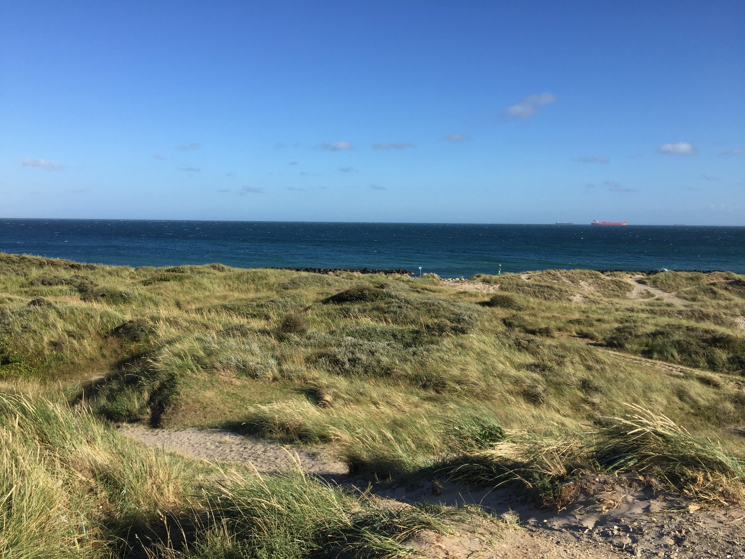 Circular economy - why it is good for the planet 