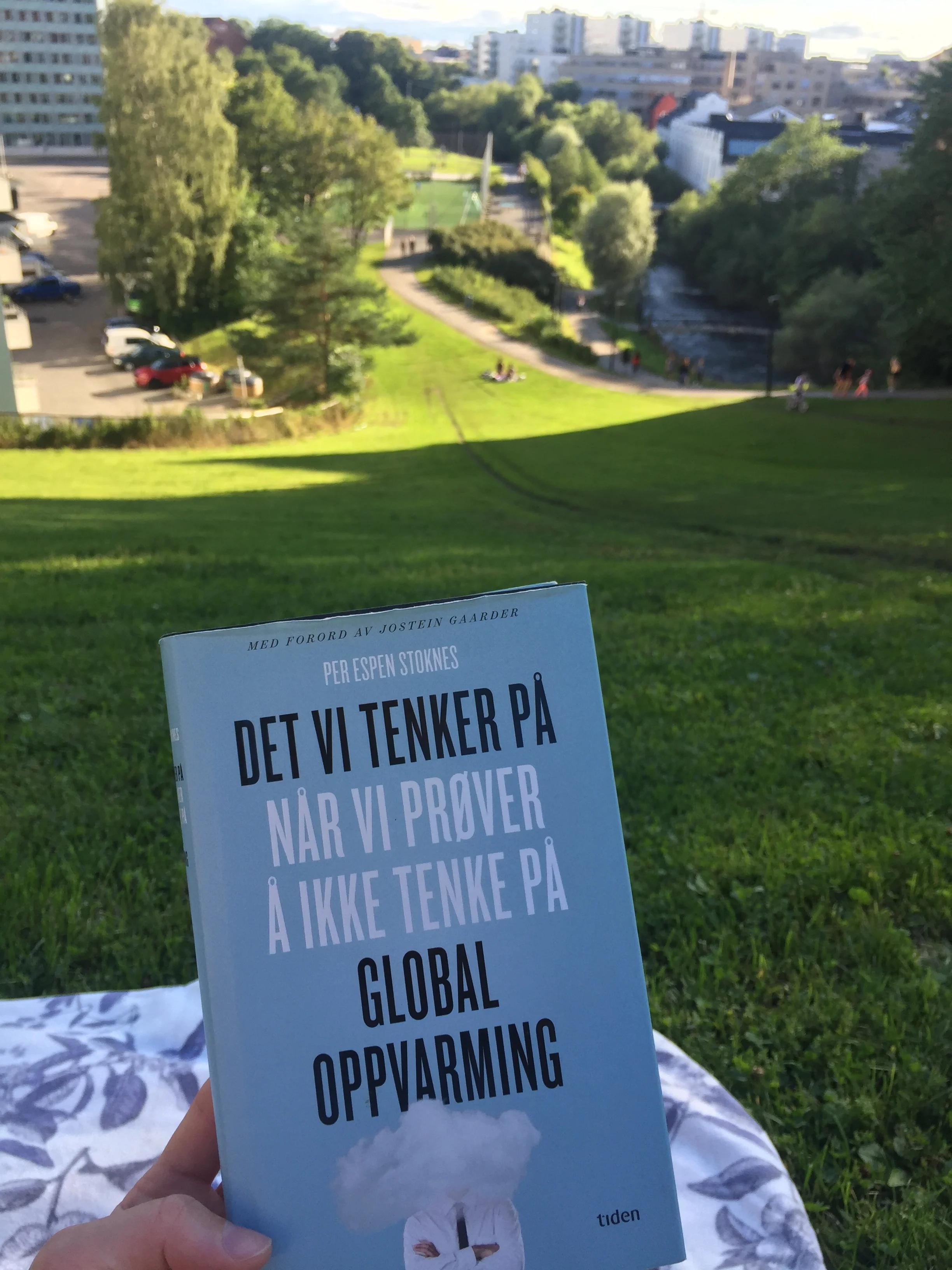 What we think about when we try not to think about global warming