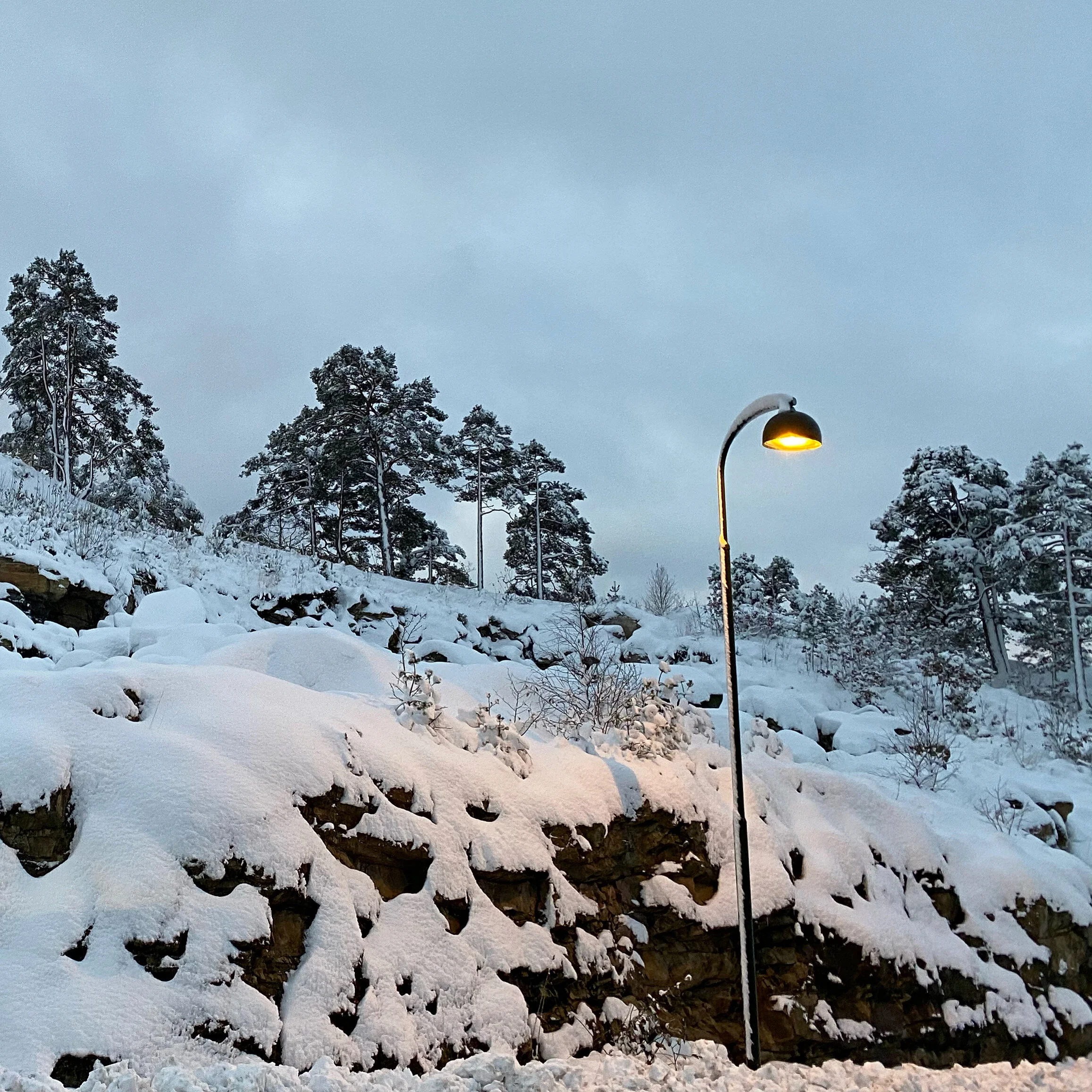 Soon COP season is upon us!