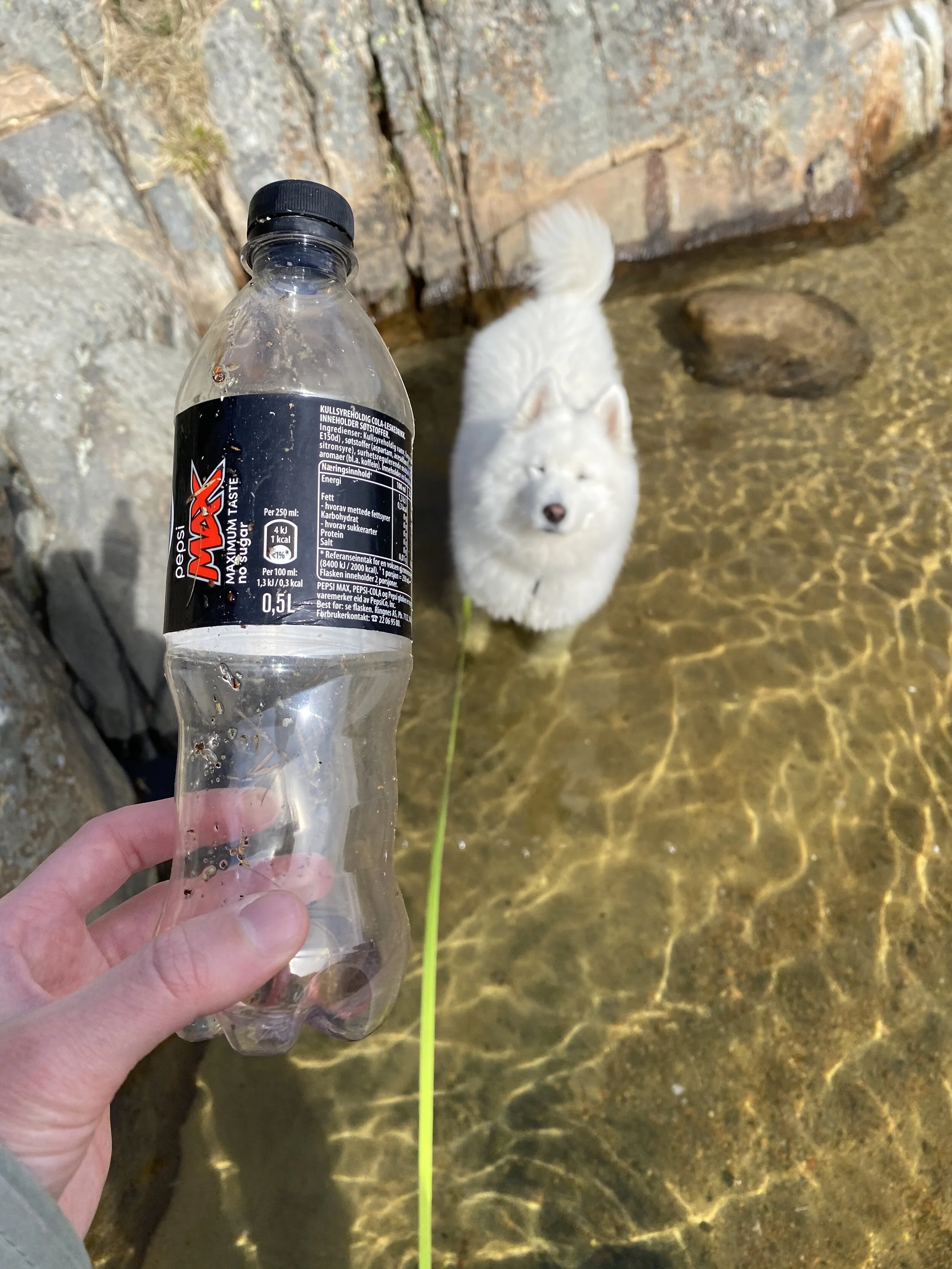 Plastic in the ocean - during covid-19