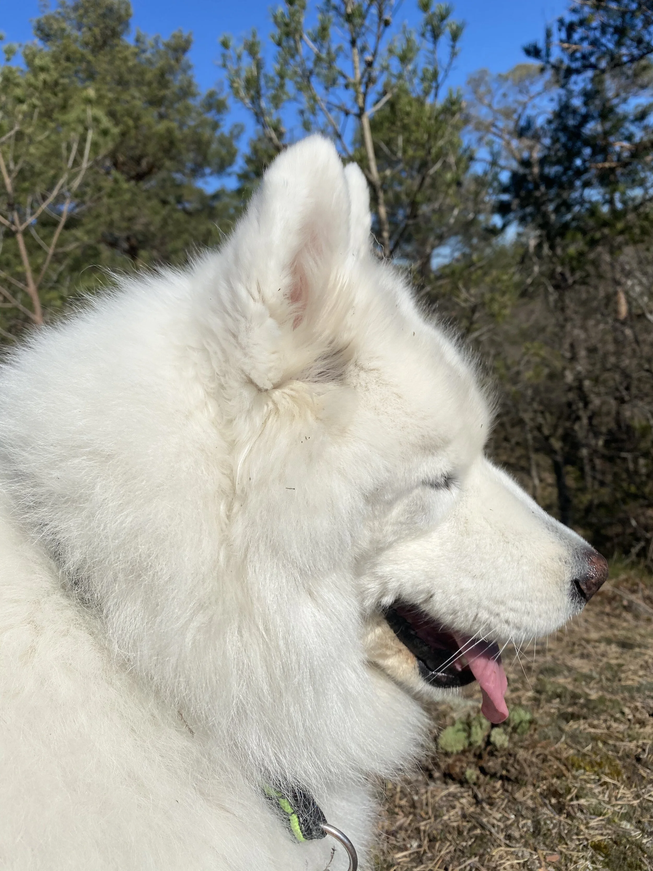 Two happy climate news!