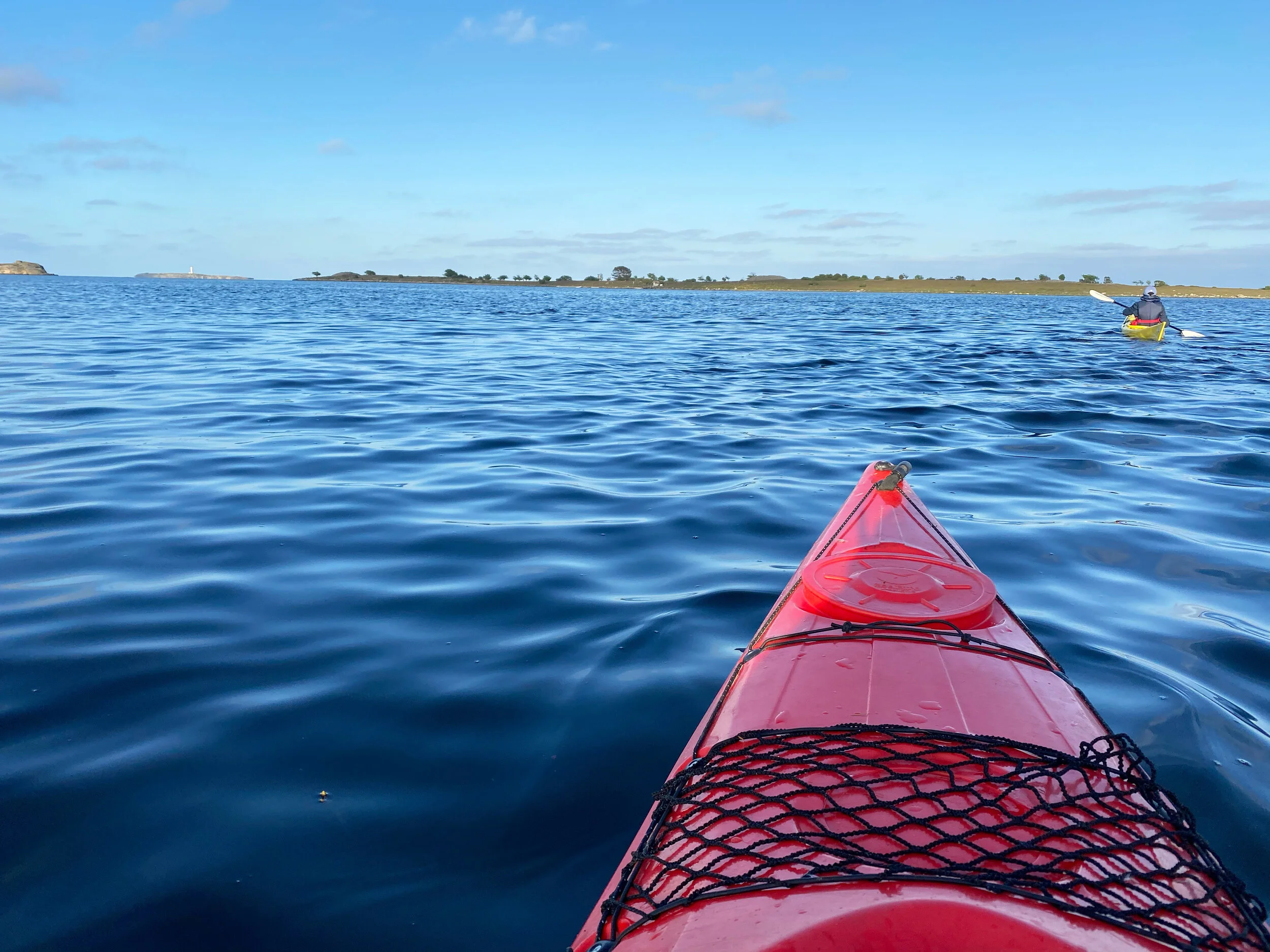 World Ocean Day - and crisis packages during Covid-19