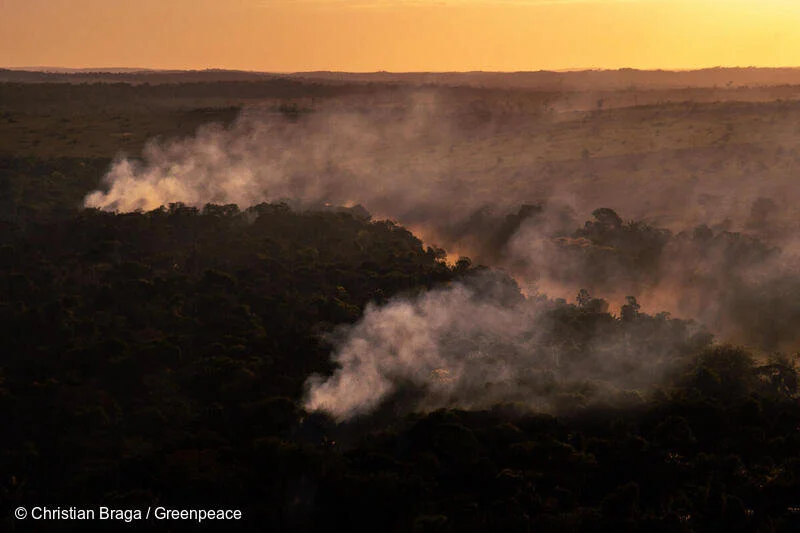 The Amazon is burning - again