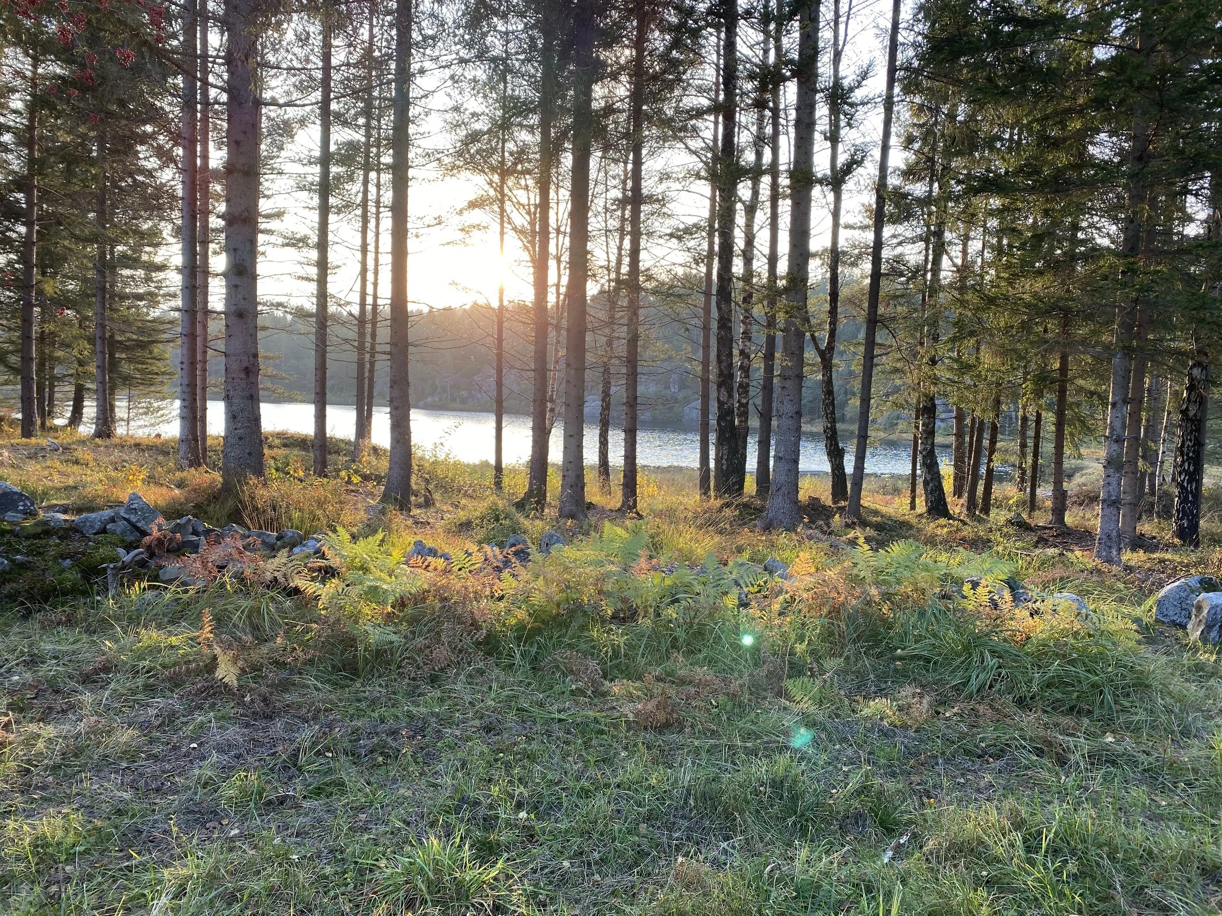 Norge kan og bør ta på seg ledertrøya under årets COP